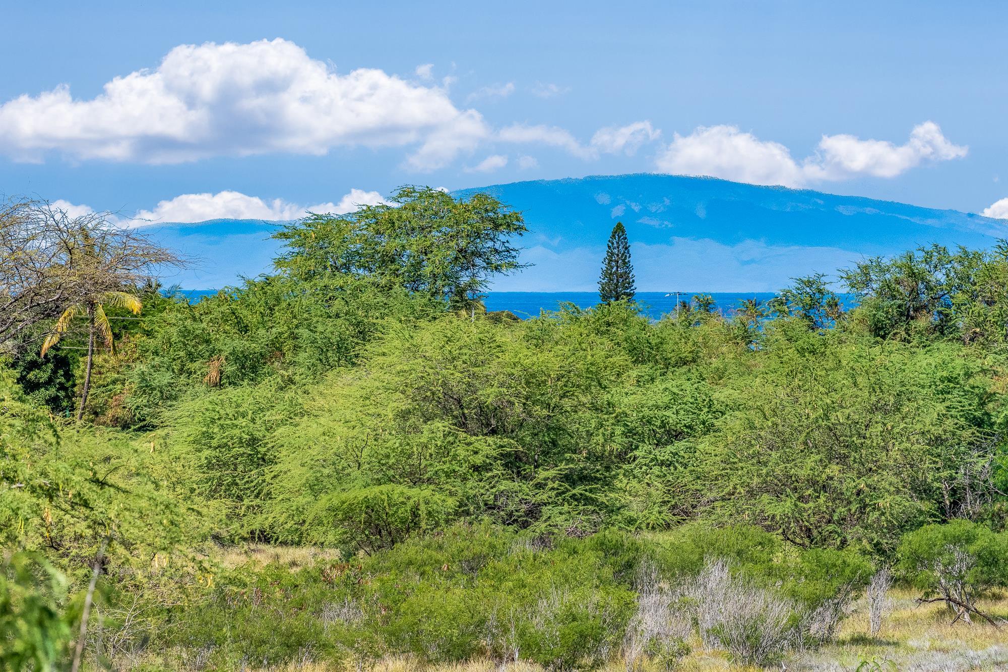 00 Alahele Pl  Kihei, Hi vacant land for sale - photo 11 of 27