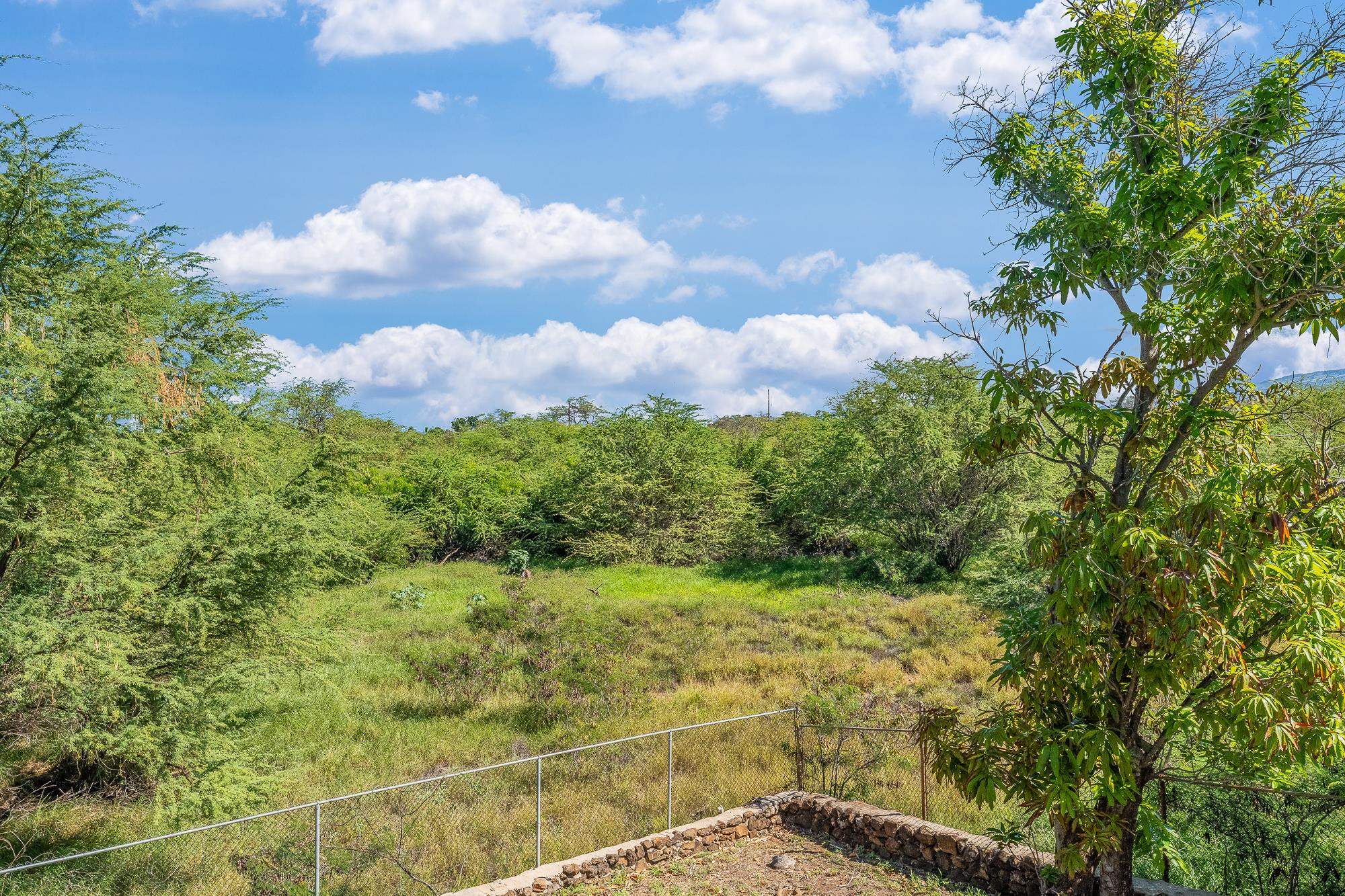 00 Alahele Pl  Kihei, Hi vacant land for sale - photo 12 of 27