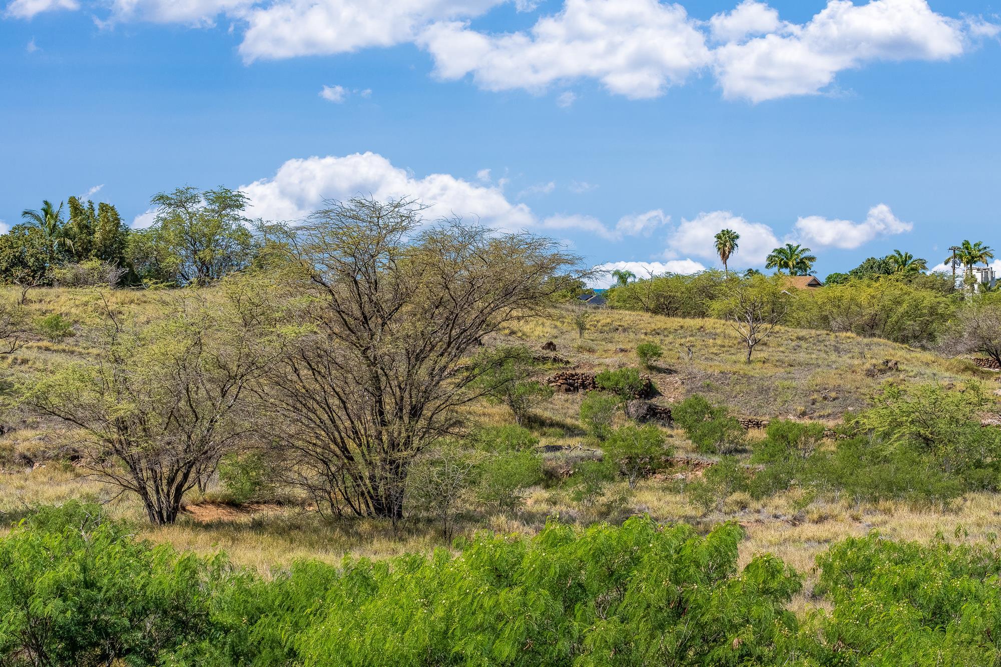 00 Alahele Pl  Kihei, Hi vacant land for sale - photo 13 of 27