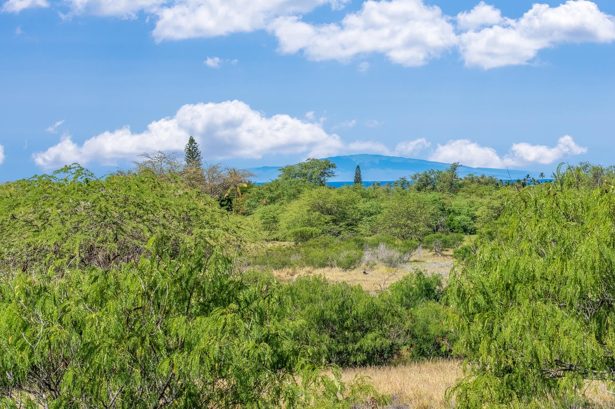 00 Alahele Pl  Kihei, Hi vacant land for sale - photo 10 of 27