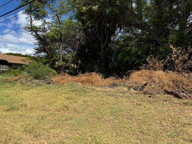 00 Kamehameha V Hwy Lot 2 KAUNAKAKAI, Hi vacant land for sale - photo 5 of 11