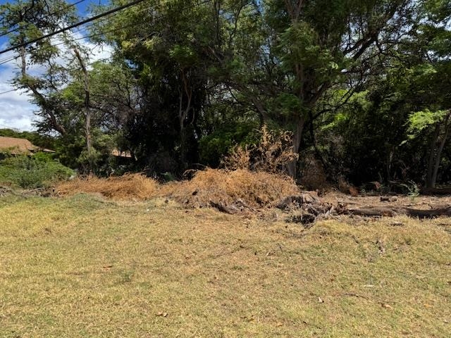 00 Kamehameha V Hwy Lot 2 KAUNAKAKAI, Hi vacant land for sale - photo 6 of 11