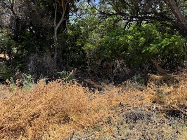 00 Kamehameha V Hwy Lot 2 KAUNAKAKAI, Hi vacant land for sale - photo 7 of 11