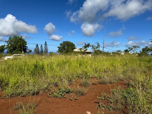 00 Waieli St Lot 727 Maunaloa, Hi vacant land for sale - photo 11 of 11