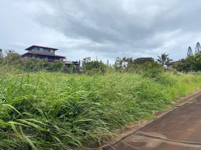 00 Waieli St Lot 727 Maunaloa, Hi vacant land for sale - photo 3 of 11