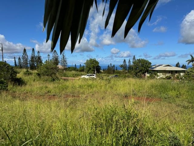 00 Waieli St Lot 727 Maunaloa, Hi vacant land for sale - photo 5 of 11