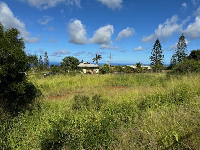 00 Waieli St Lot 727 Maunaloa, Hi vacant land for sale - photo 6 of 11