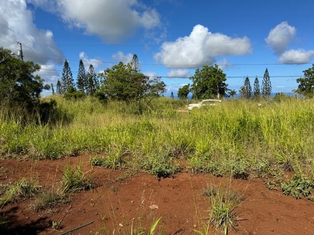 00 Waieli St Lot 727 Maunaloa, Hi vacant land for sale - photo 10 of 11