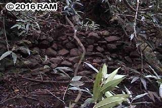 000 Hana Hwy  Hana, Hi vacant land for sale - photo 11 of 13