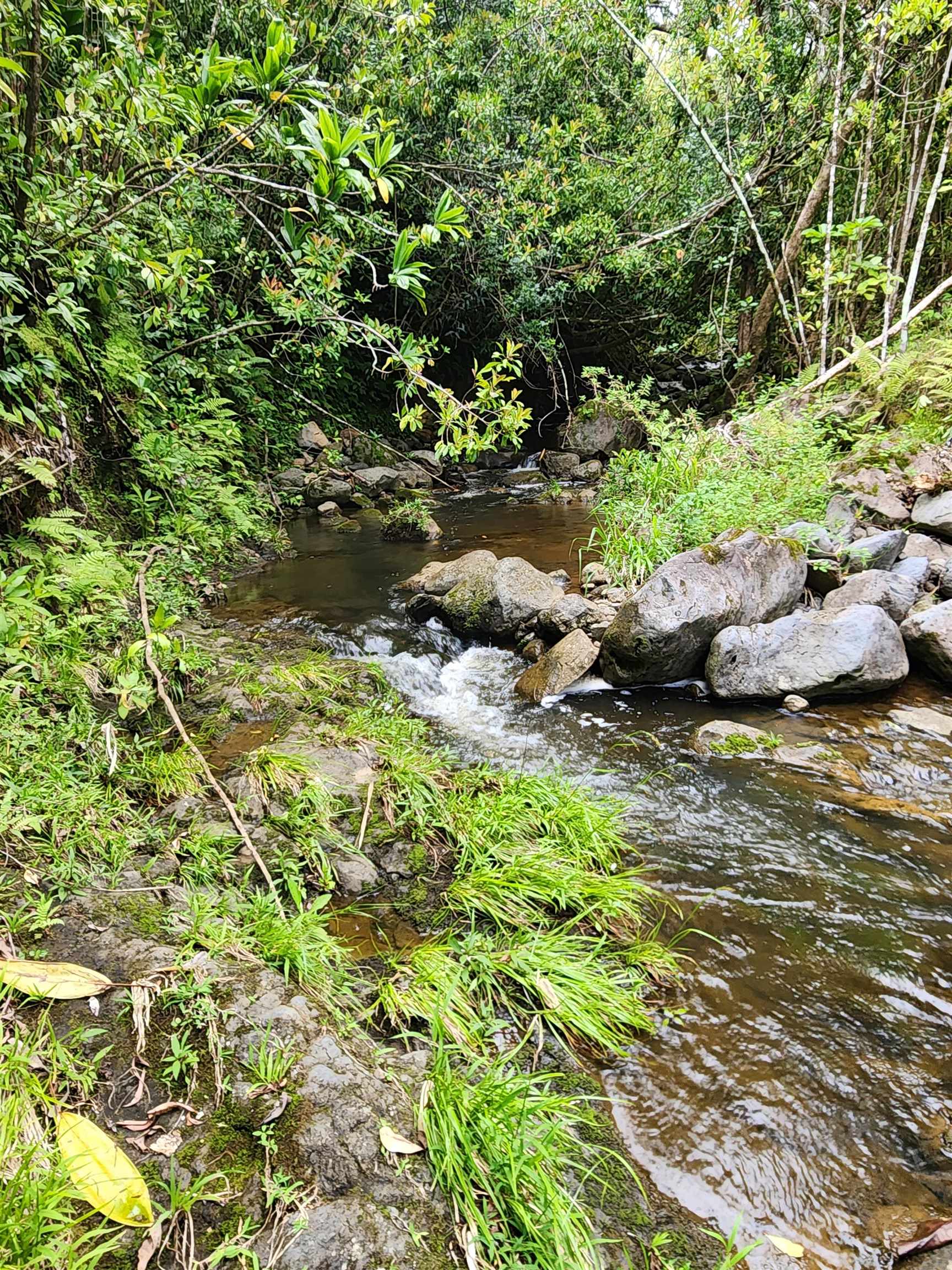 000 Hana Hwy  Hana, Hi vacant land for sale - photo 8 of 13