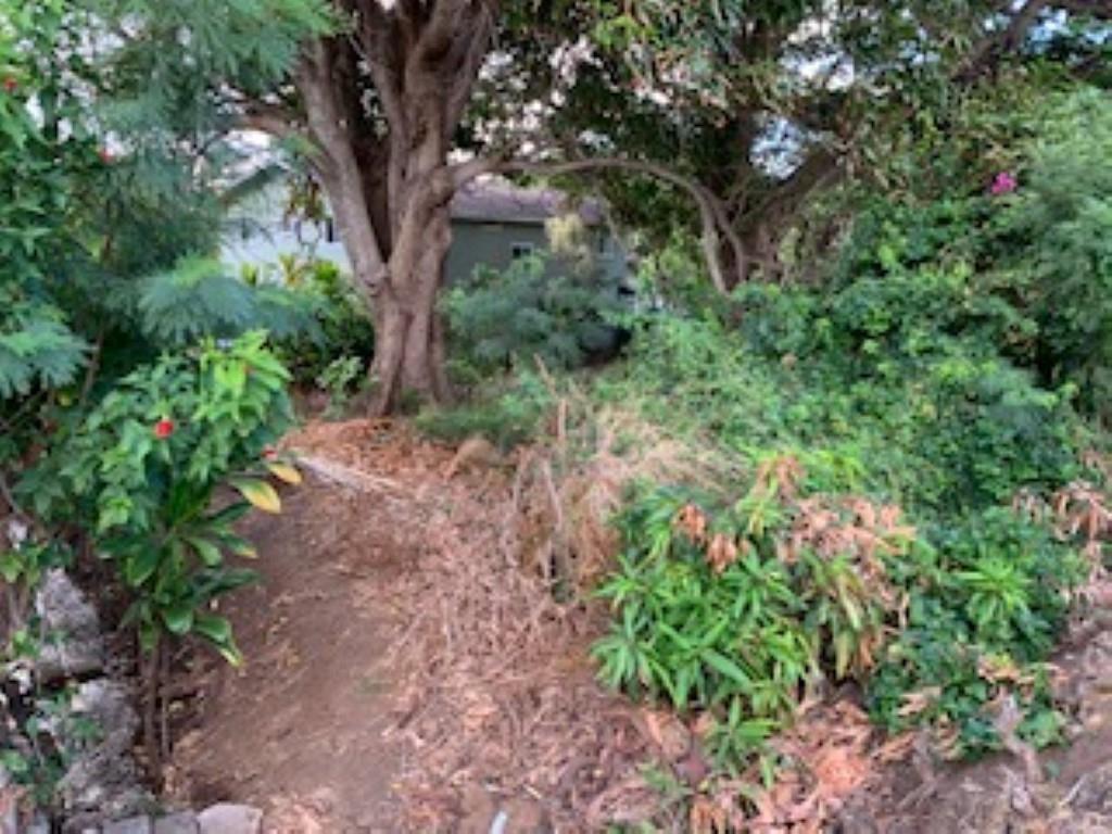 000 Kalua Rd  Wailuku, Hi vacant land for sale - photo 15 of 19