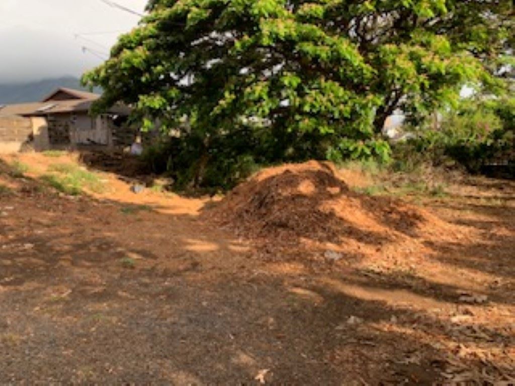 000 Kalua Rd  Wailuku, Hi vacant land for sale - photo 4 of 19