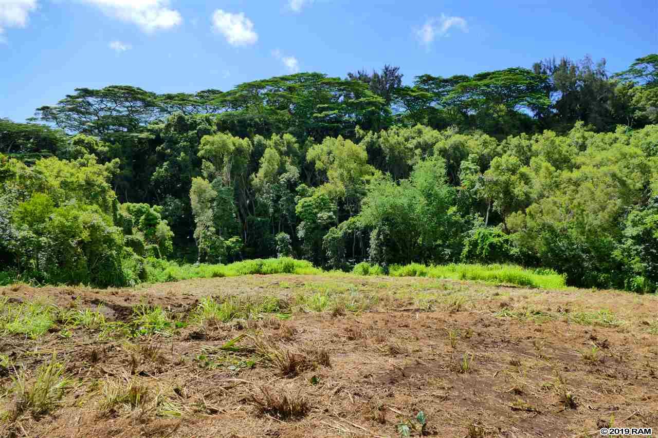 0000 See TMK Rd  Wailuku, Hi vacant land for sale - photo 12 of 22