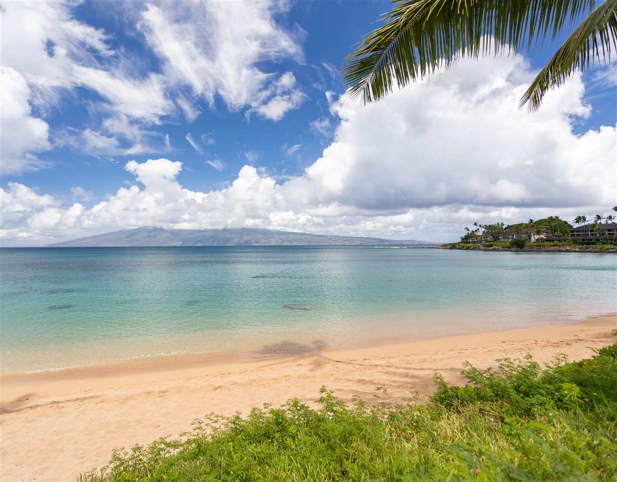 Napili Sunset condo # 104, Lahaina, Hawaii - photo 25 of 30