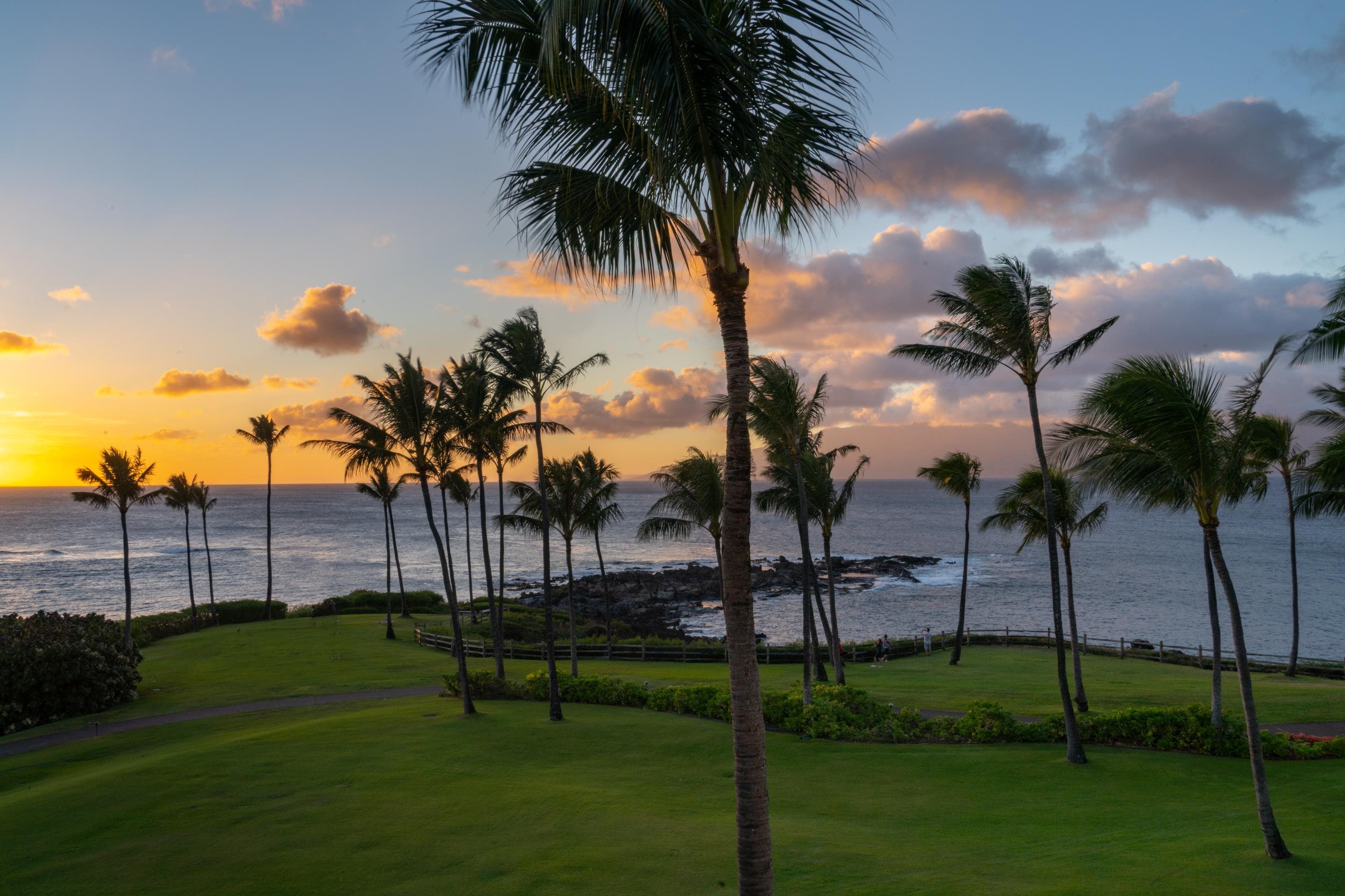 Montage Residences Kapalua  condo # 1301, Lahaina, Hawaii - photo 25 of 28