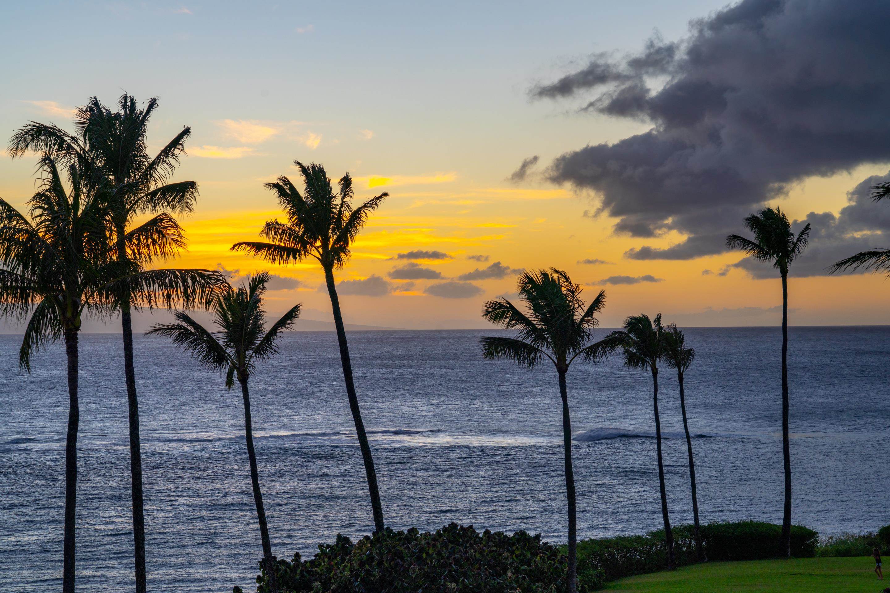 Montage Residences Kapalua  condo # 1301, Lahaina, Hawaii - photo 26 of 28