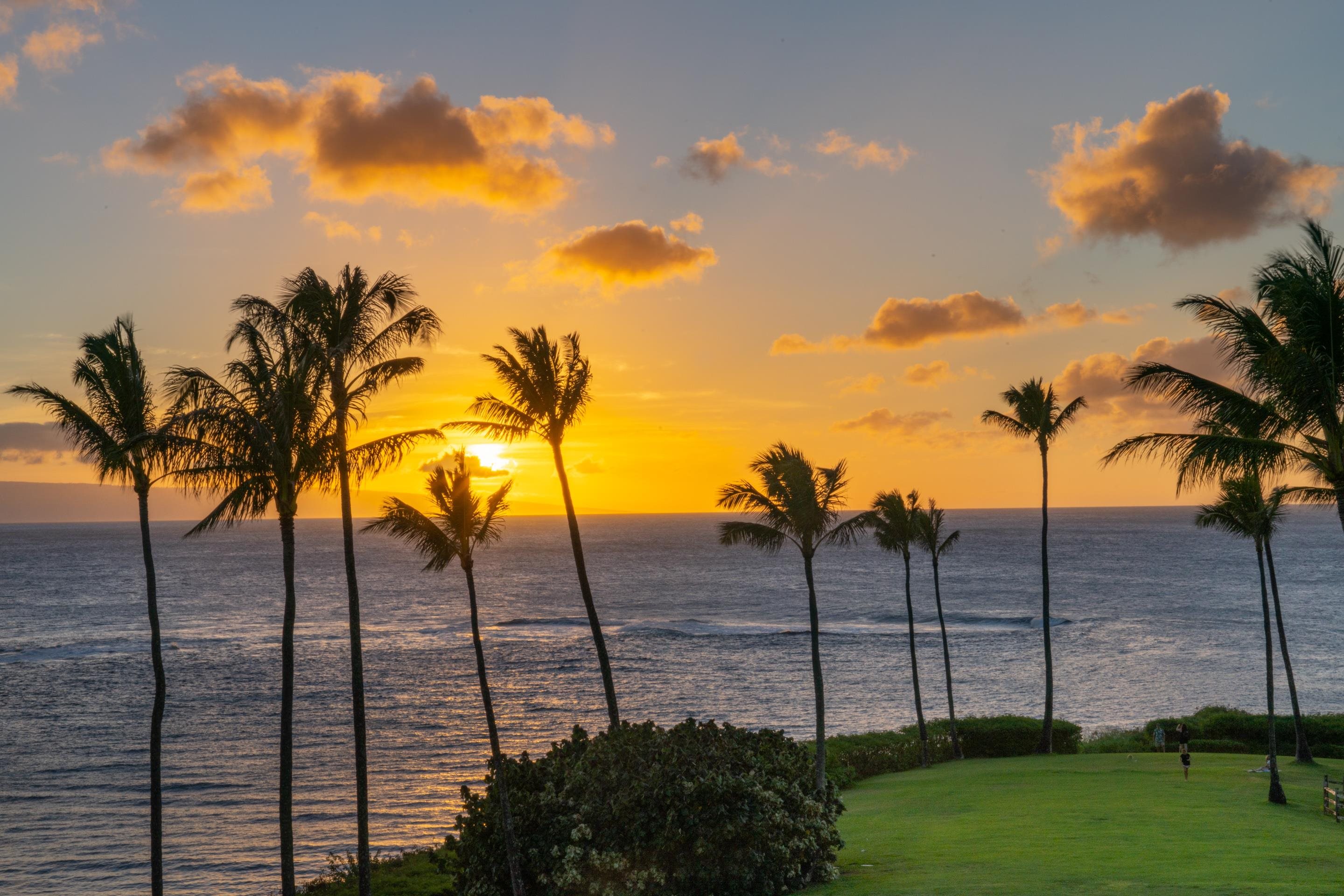 Montage Residences Kapalua  condo # 1301, Lahaina, Hawaii - photo 27 of 28