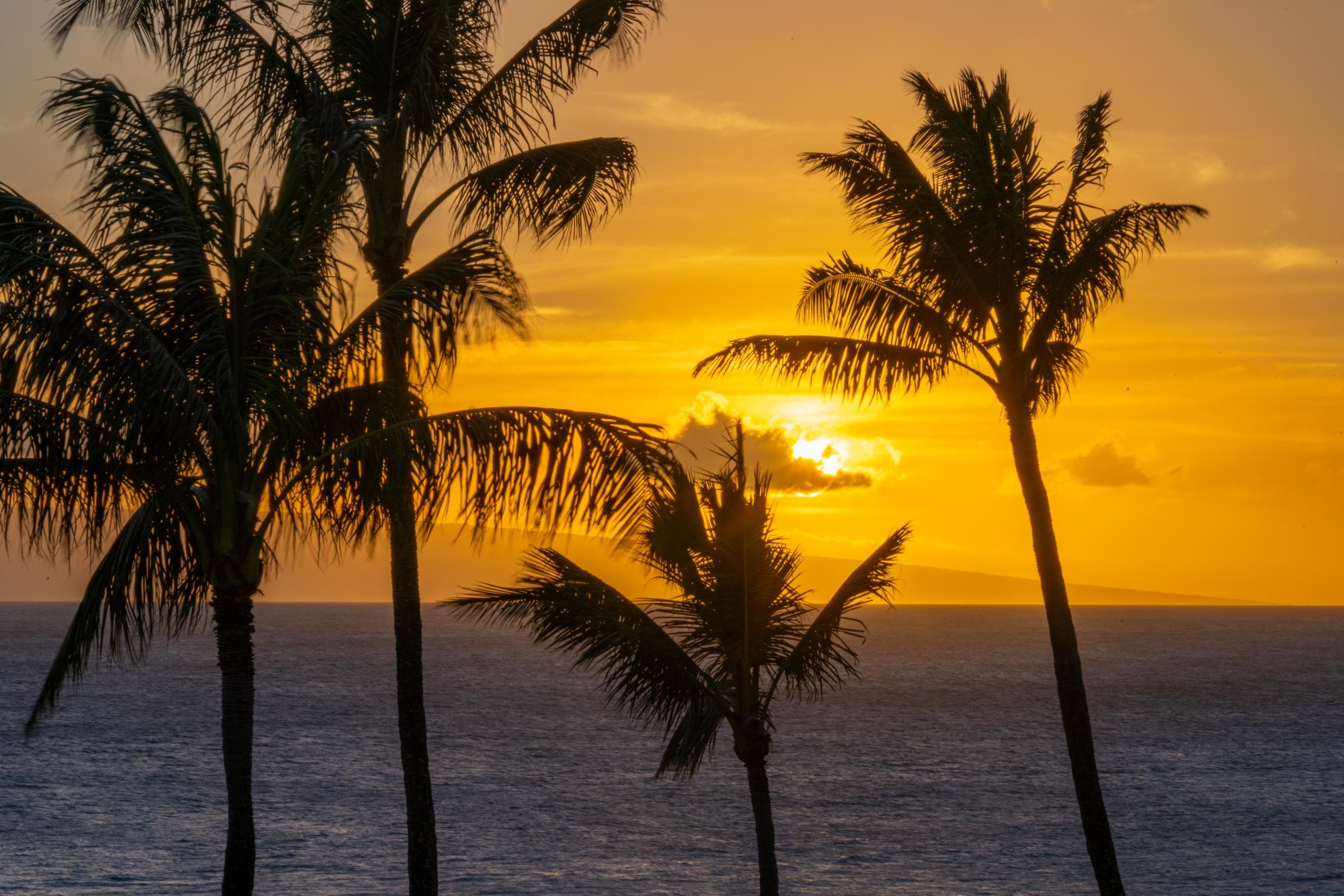 Montage Residences Kapalua  condo # 1301, Lahaina, Hawaii - photo 28 of 28