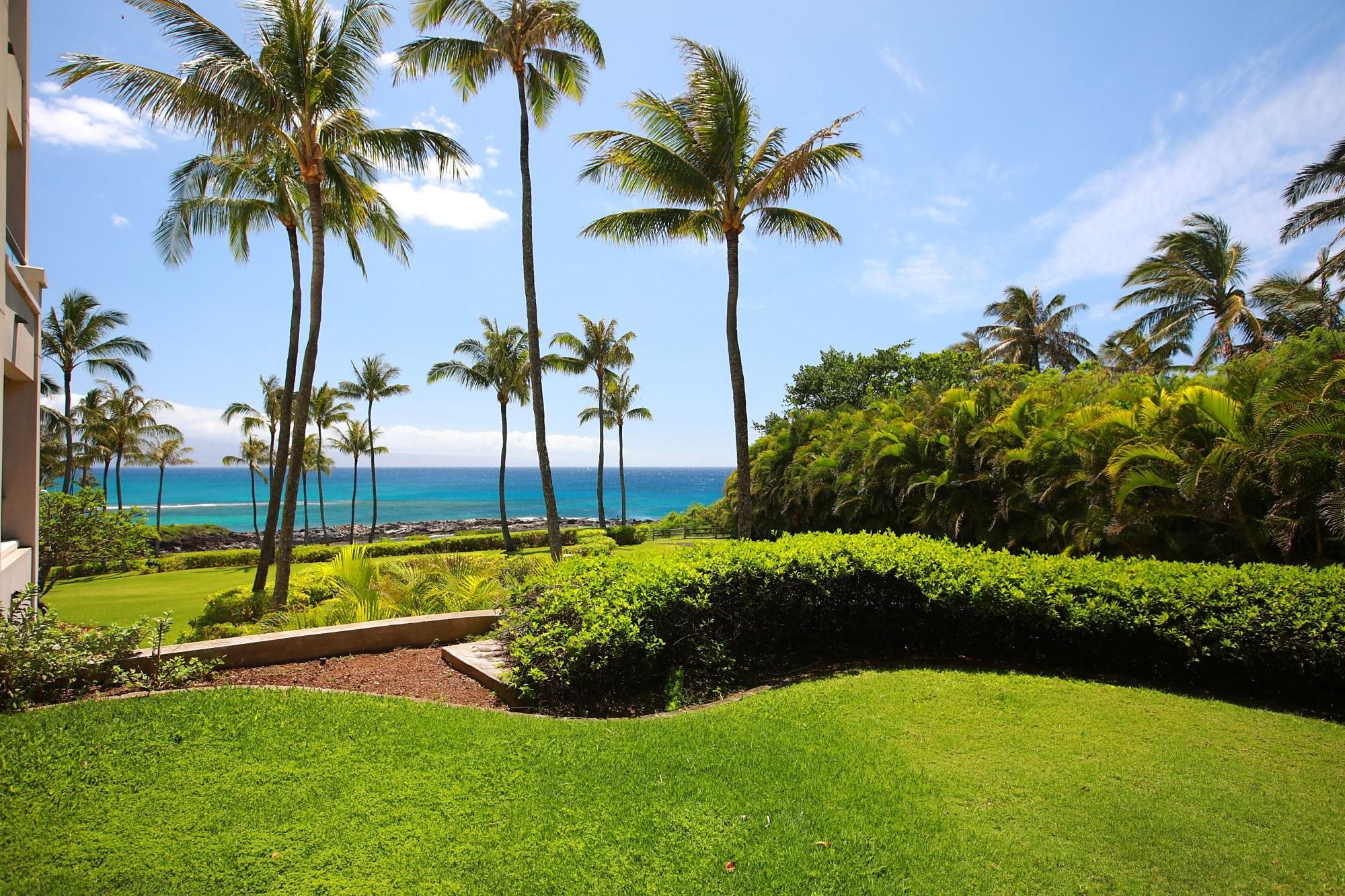 Montage Residences Kapalua  condo # 2202, Lahaina, Hawaii - photo 20 of 50