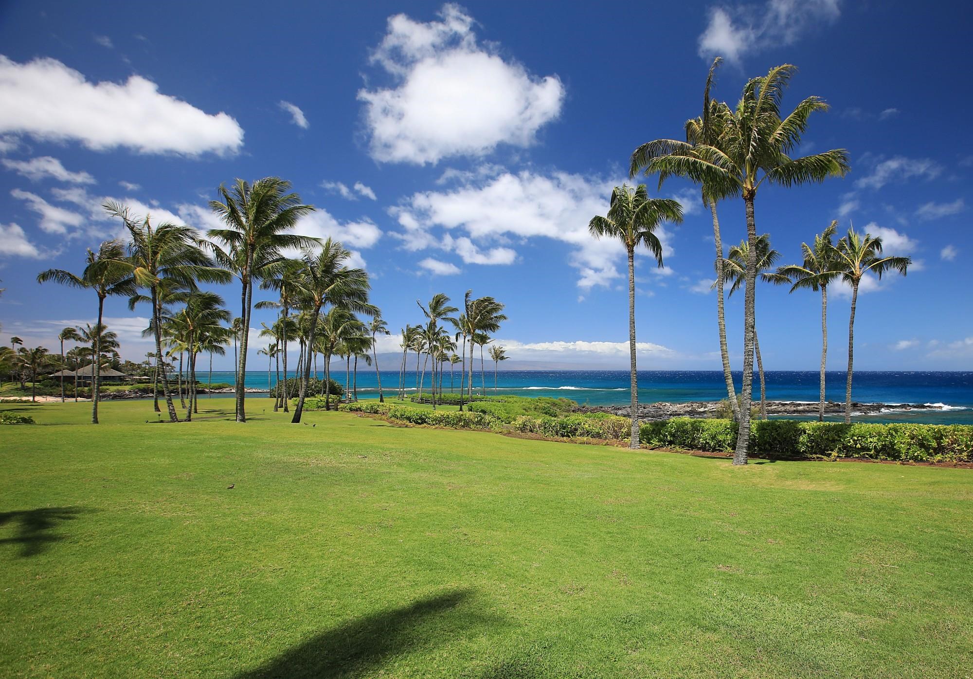 Montage Residences Kapalua  condo # 2202, Lahaina, Hawaii - photo 45 of 50