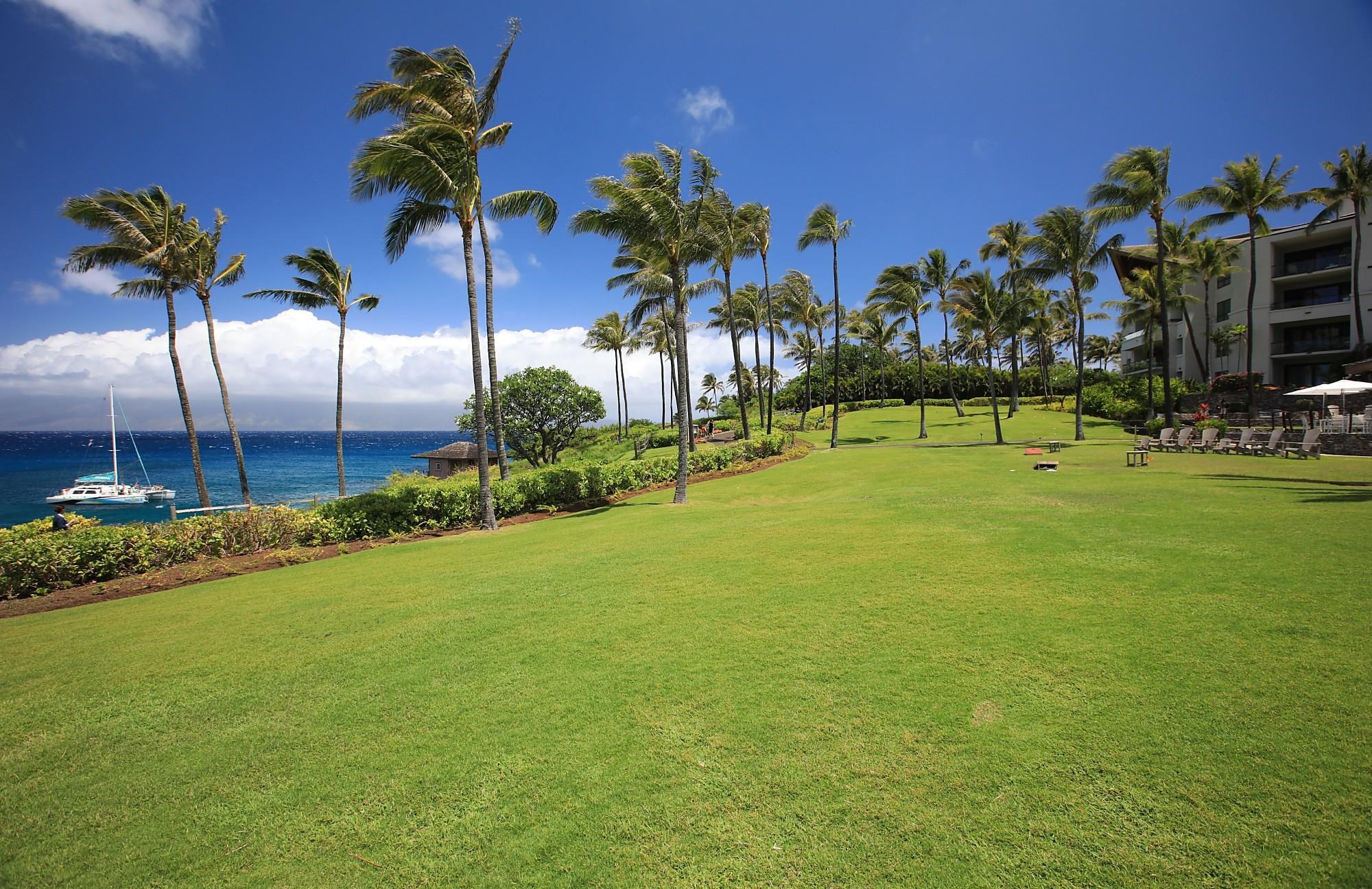 Montage Residences Kapalua  condo # 2202, Lahaina, Hawaii - photo 48 of 50