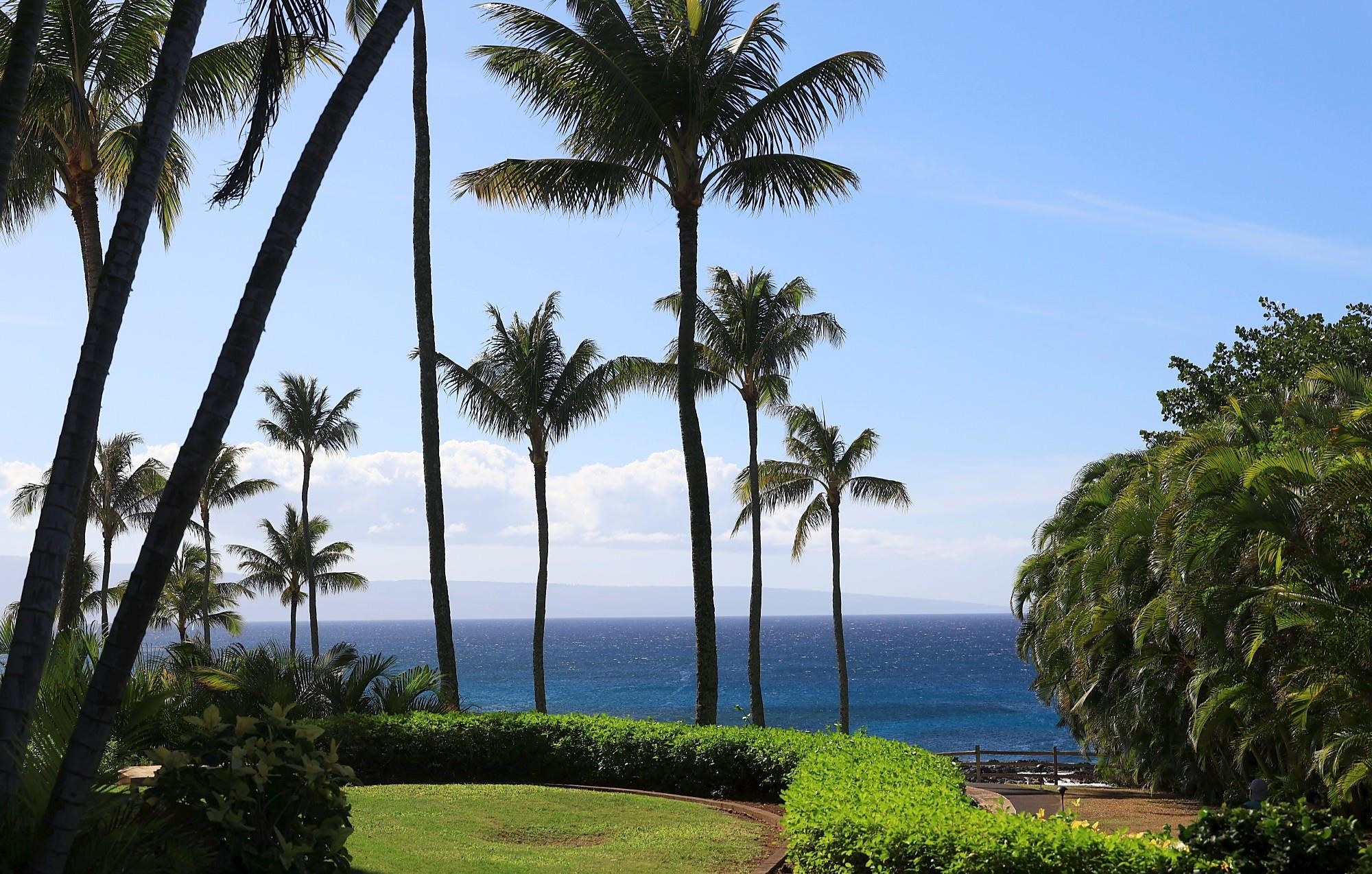 Montage Residences Kapalua  condo # 2204, Lahaina, Hawaii - photo 38 of 48