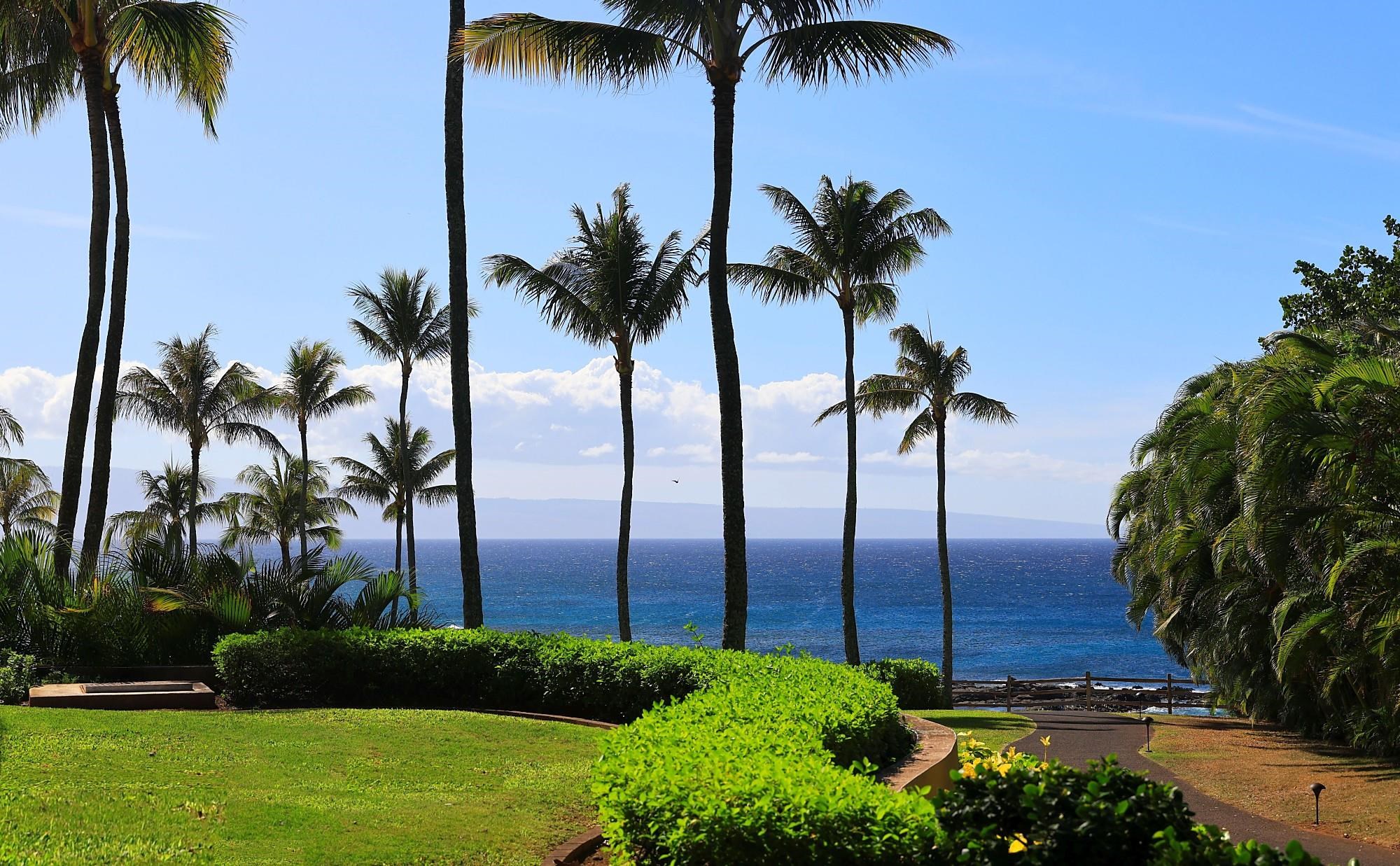 Montage Residences Kapalua  condo # 2204, Lahaina, Hawaii - photo 48 of 48