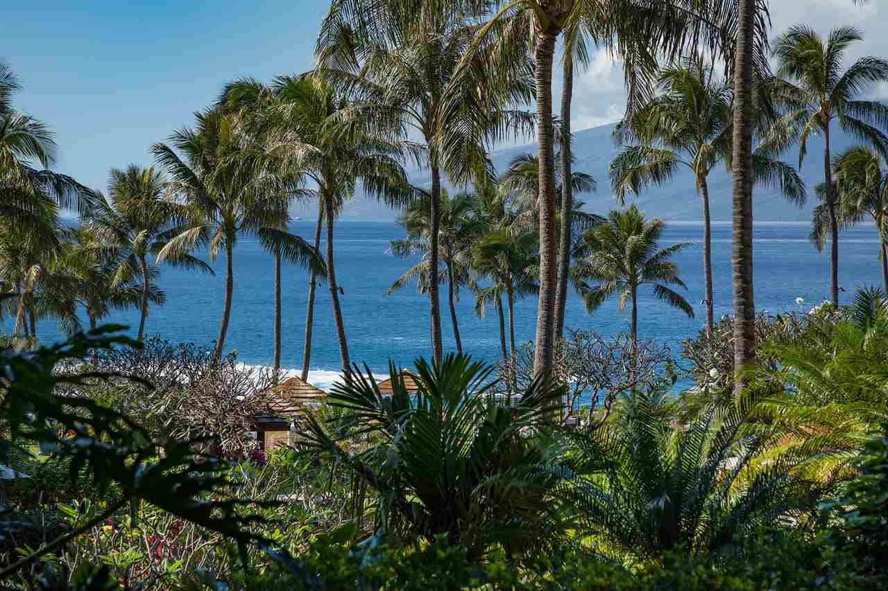 Montage Residences Kapalua  condo # 3203, Lahaina, Hawaii - photo 5 of 26