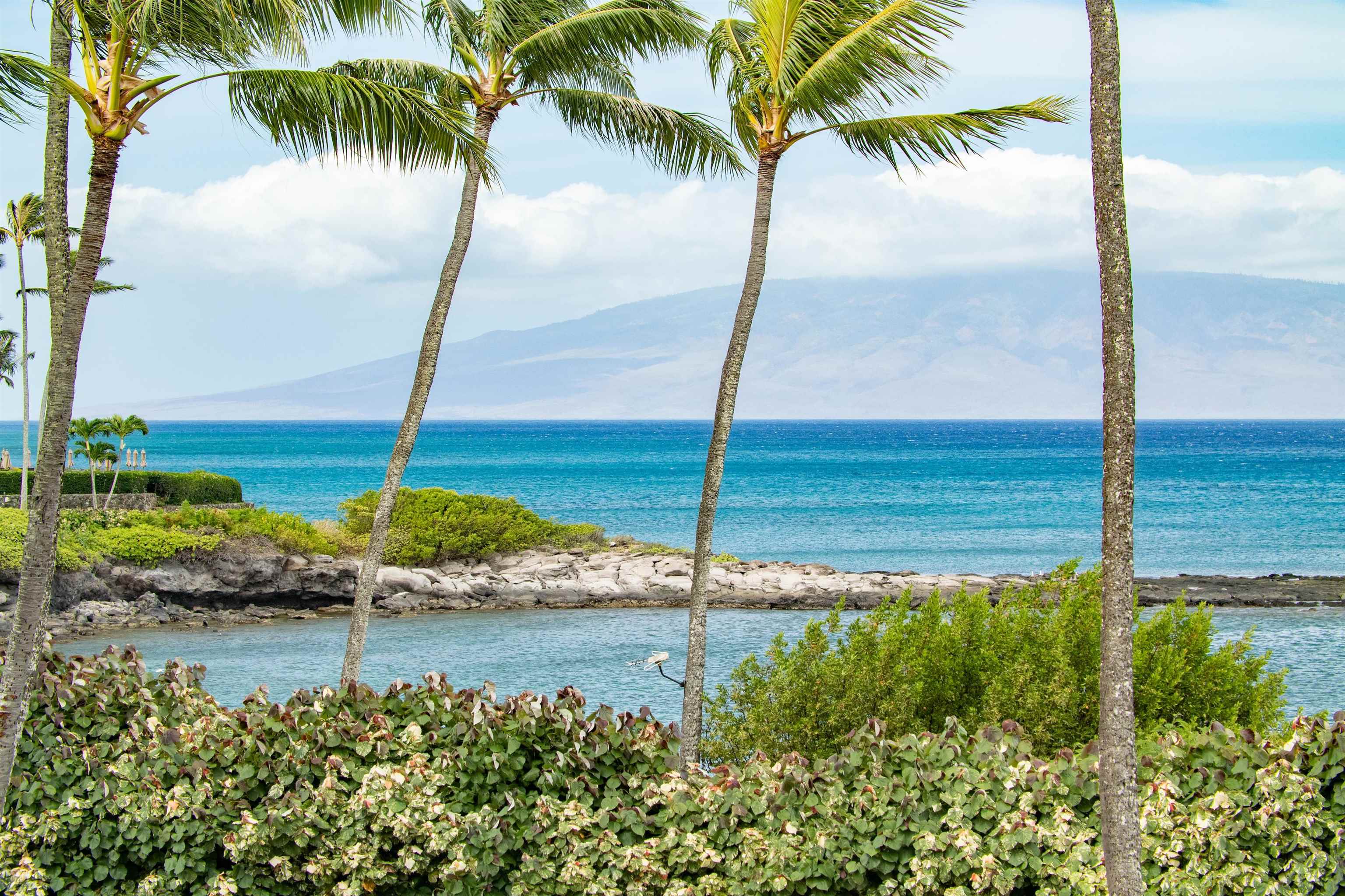 Montage Residences Kapalua  condo # 1103, Lahaina, Hawaii - photo 12 of 50