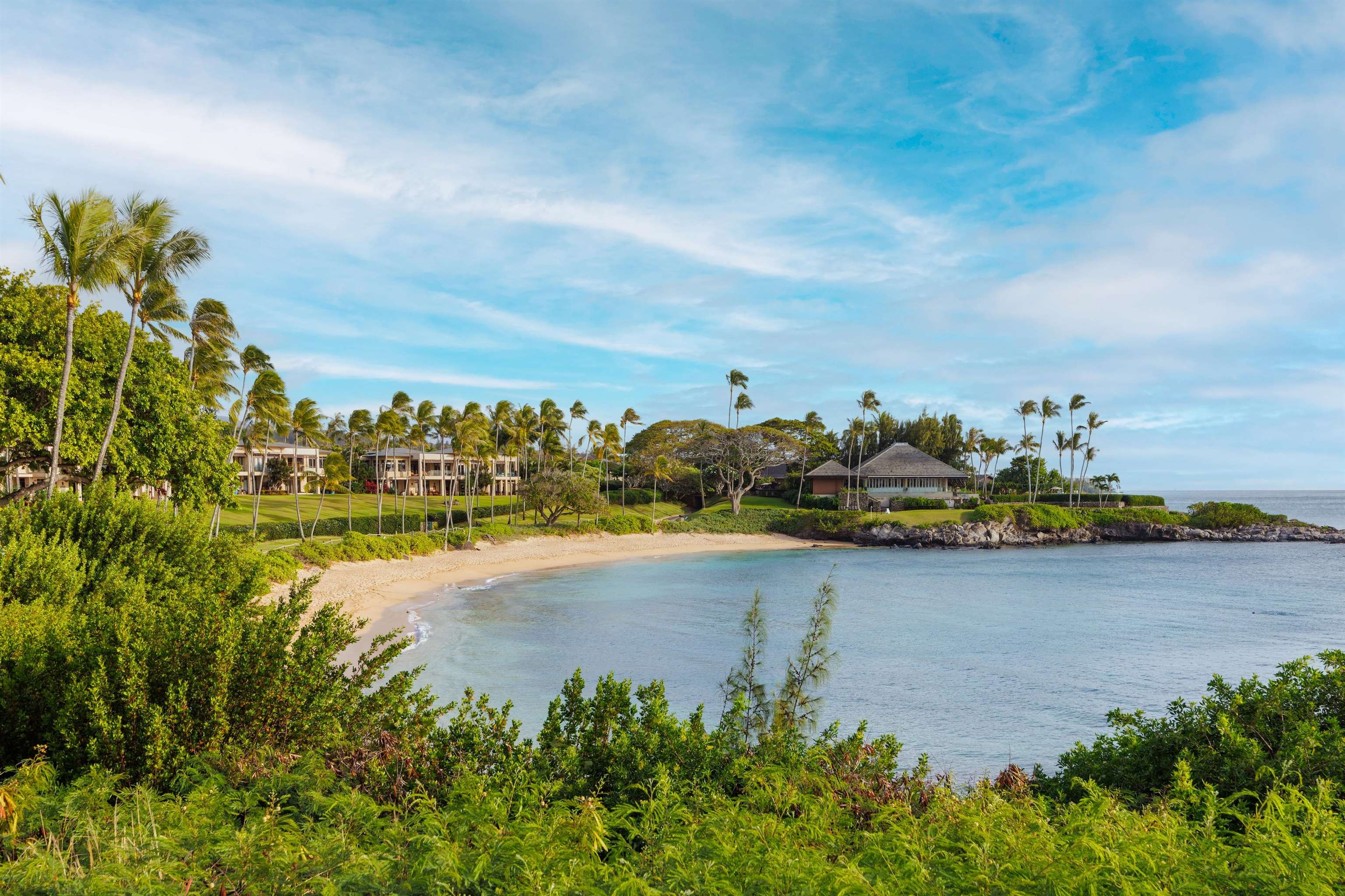 Montage Residences Kapalua  condo # 1103, Lahaina, Hawaii - photo 42 of 50