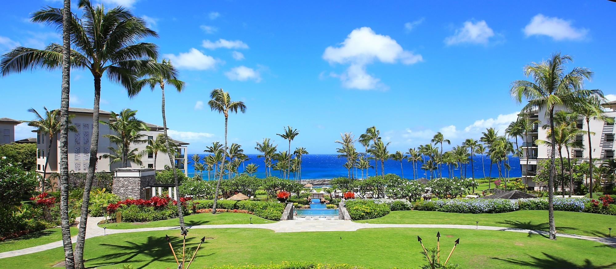 Montage Residences Kapalua  condo # 2202, Lahaina, Hawaii - photo 41 of 50