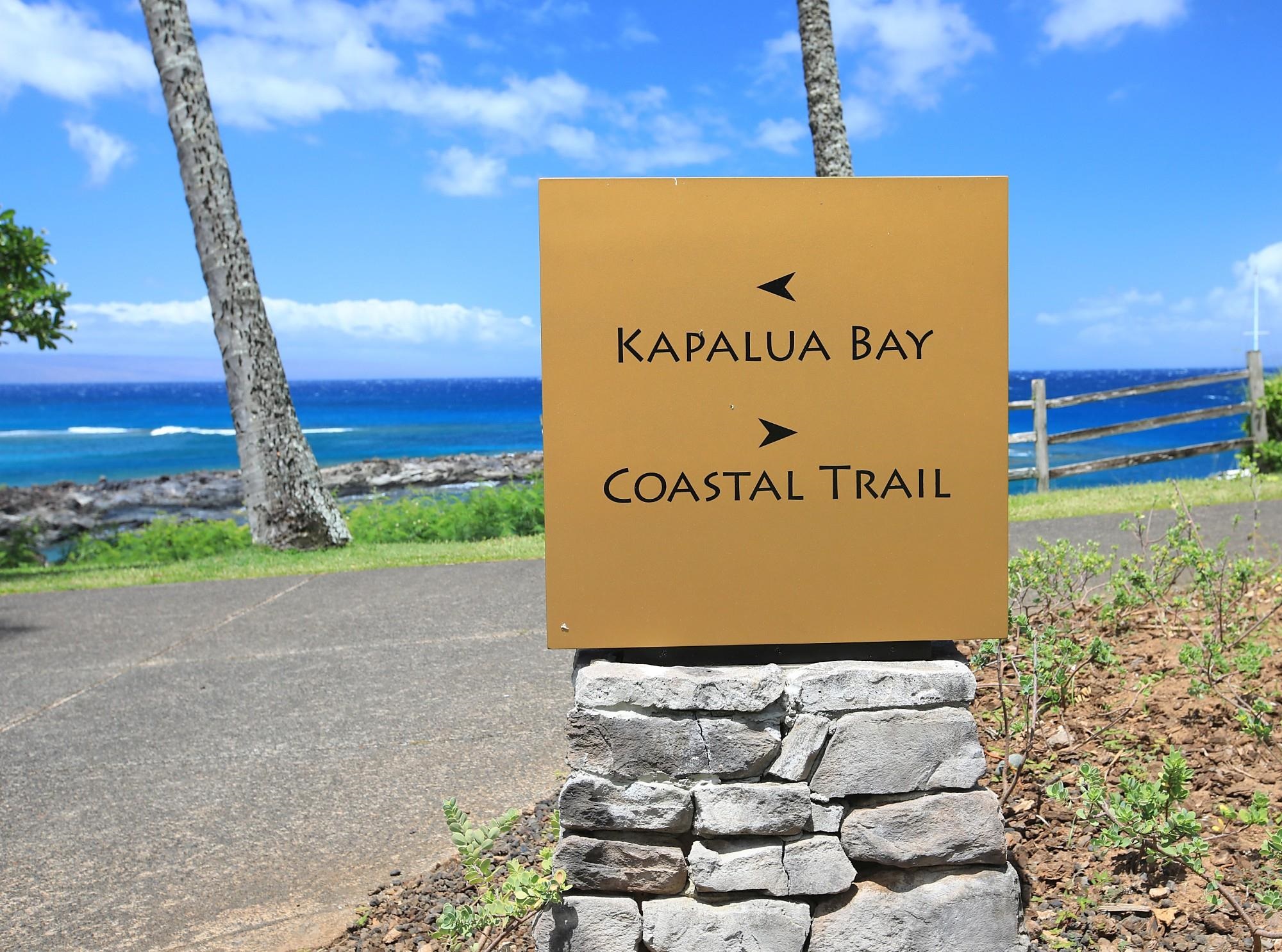 Montage Residences Kapalua  condo # 2202, Lahaina, Hawaii - photo 50 of 50