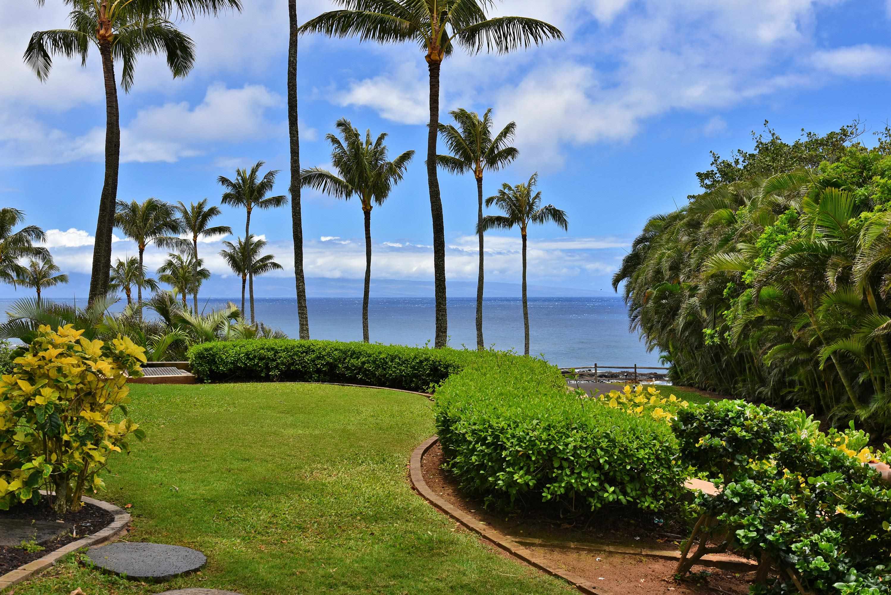 Montage Residences Kapalua  condo # 2204, Lahaina, Hawaii - photo 15 of 50