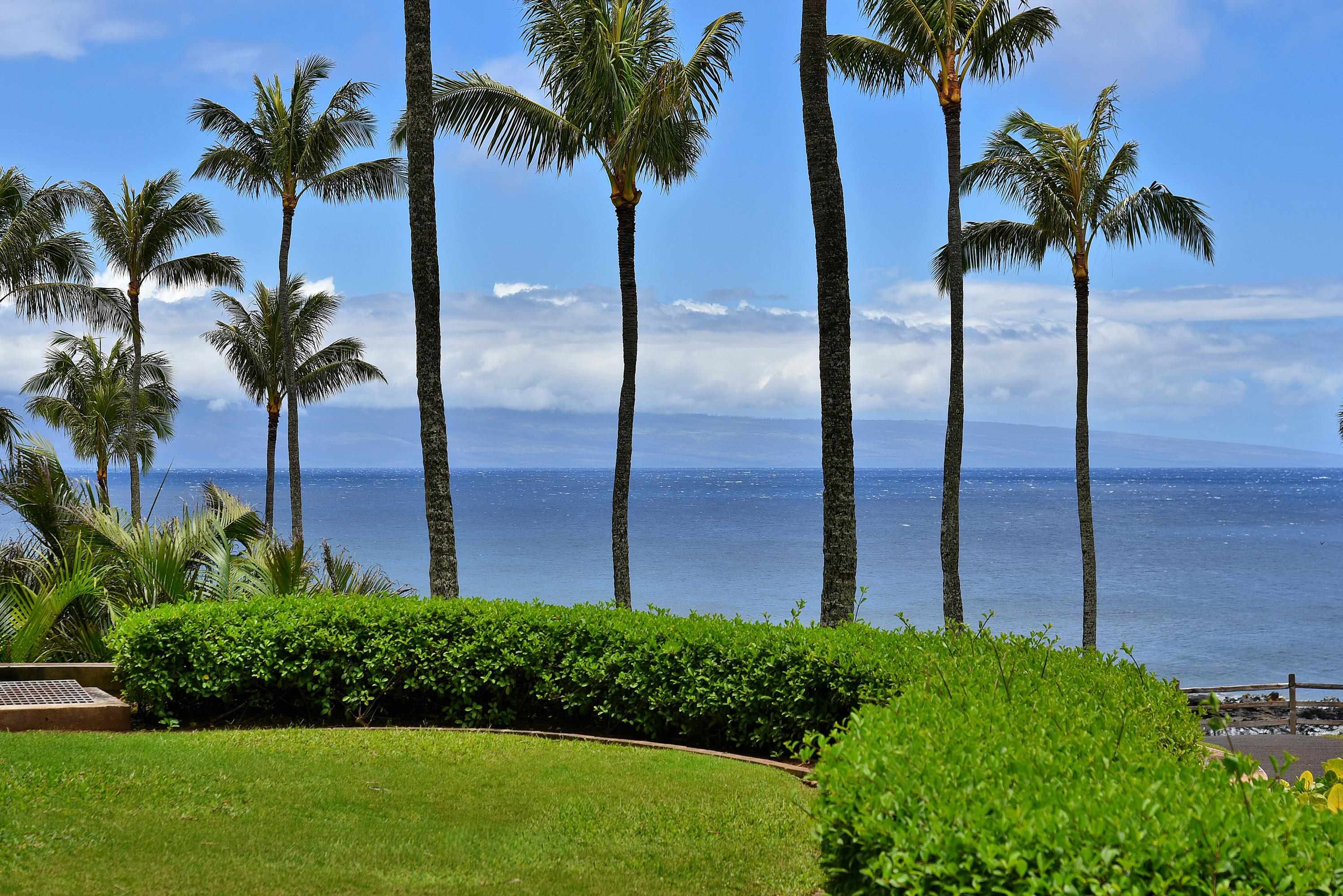 Montage Residences Kapalua  condo # 2204, Lahaina, Hawaii - photo 16 of 50