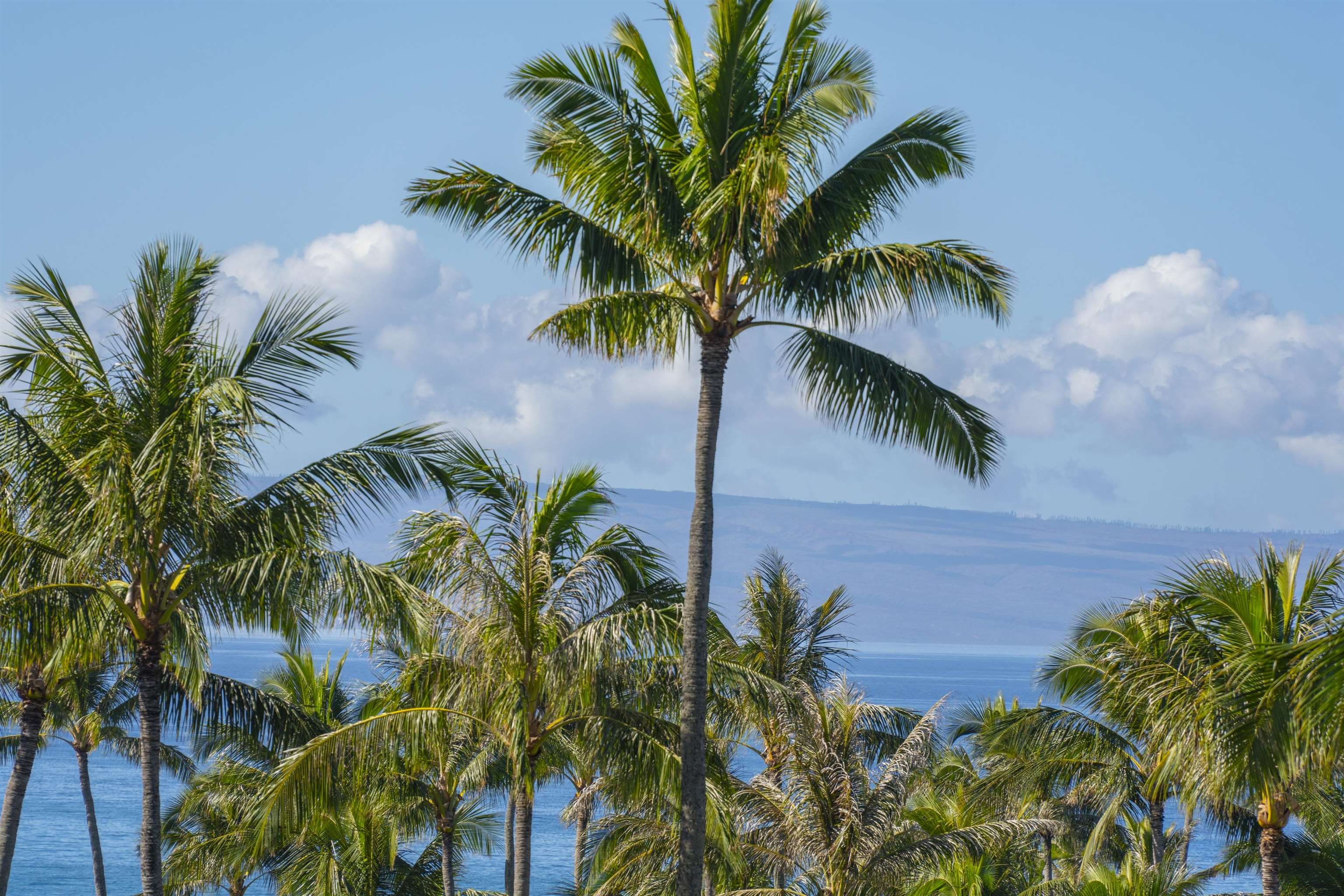 Montage Residences Kapalua  condo # 4304, Lahaina, Hawaii - photo 21 of 47