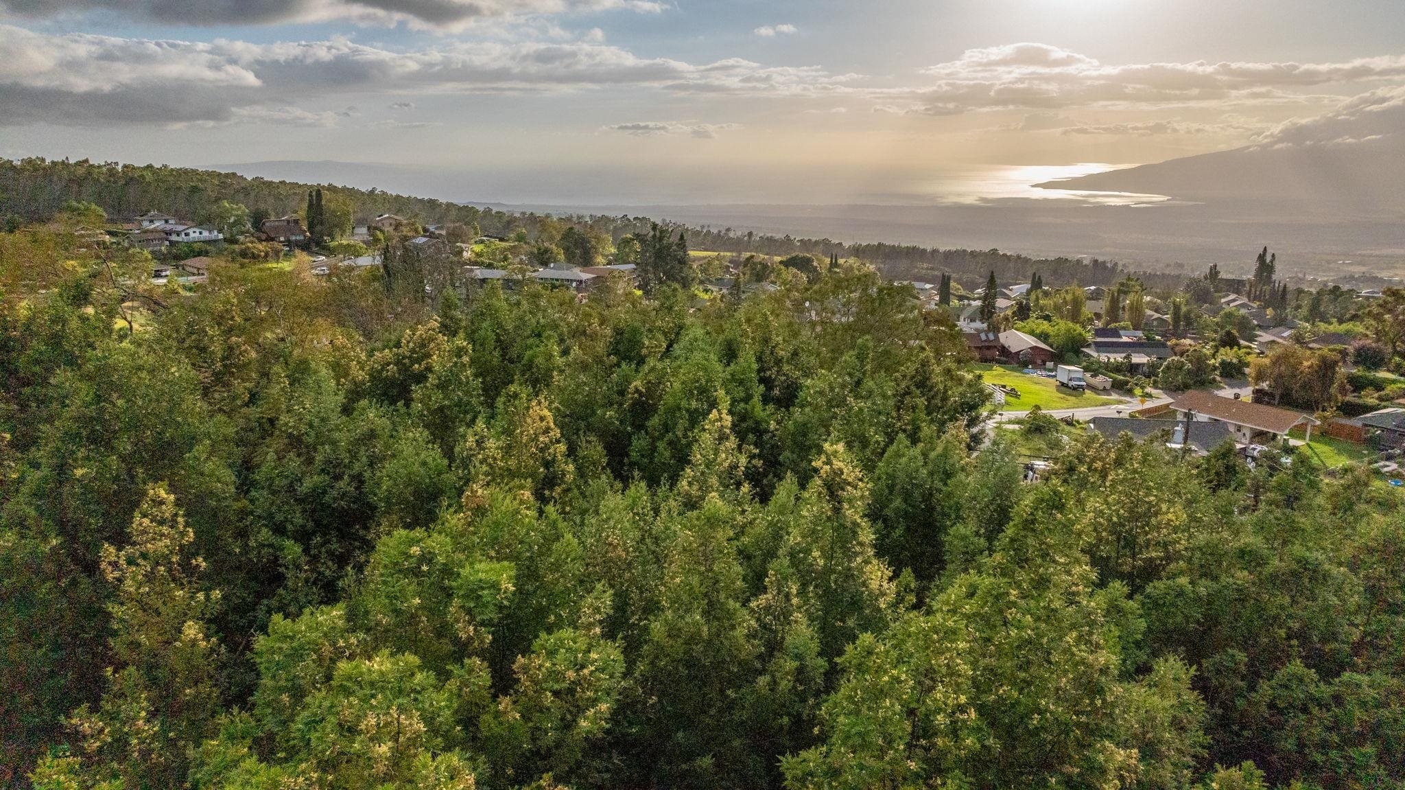 1 Haleakala Hwy  Kula, Hi vacant land for sale - photo 11 of 17