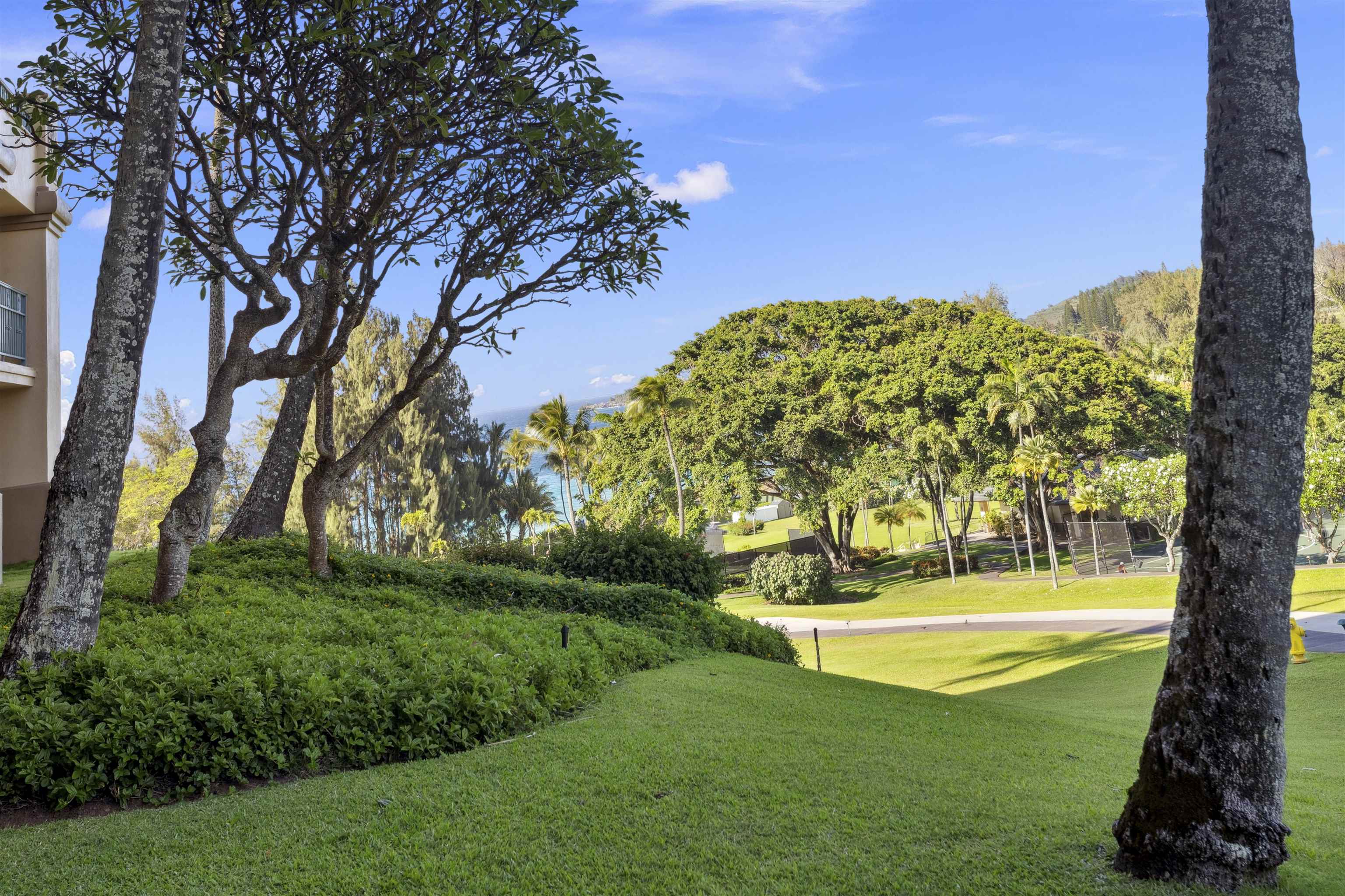 The Ritz Carlton Residences condo # 1125, Lahaina, Hawaii - photo 27 of 36