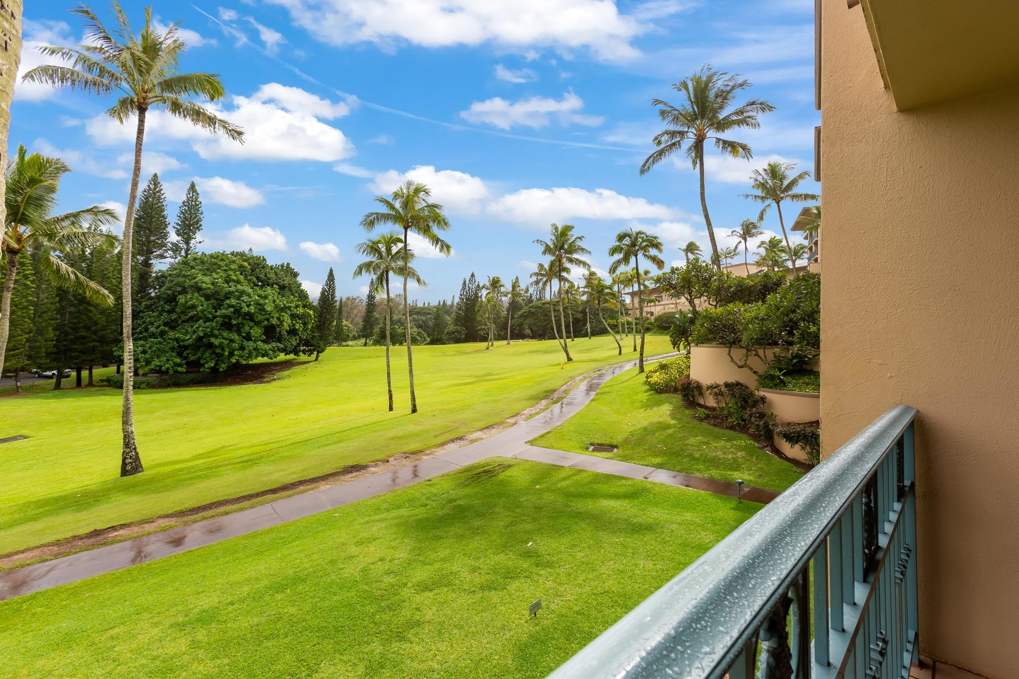 The Ritz Carlton Residences condo # 1221-23, Lahaina, Hawaii - photo 19 of 26