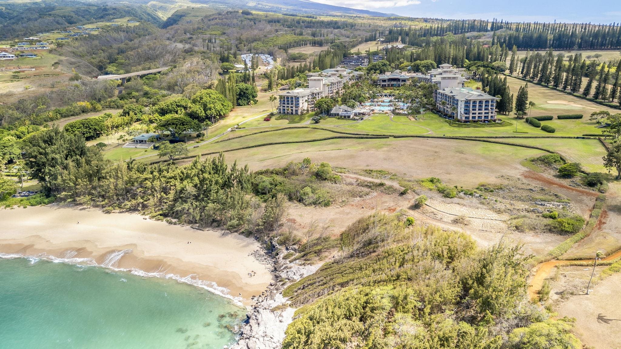 The Ritz Carlton Residences condo # 1221-23, Lahaina, Hawaii - photo 47 of 50