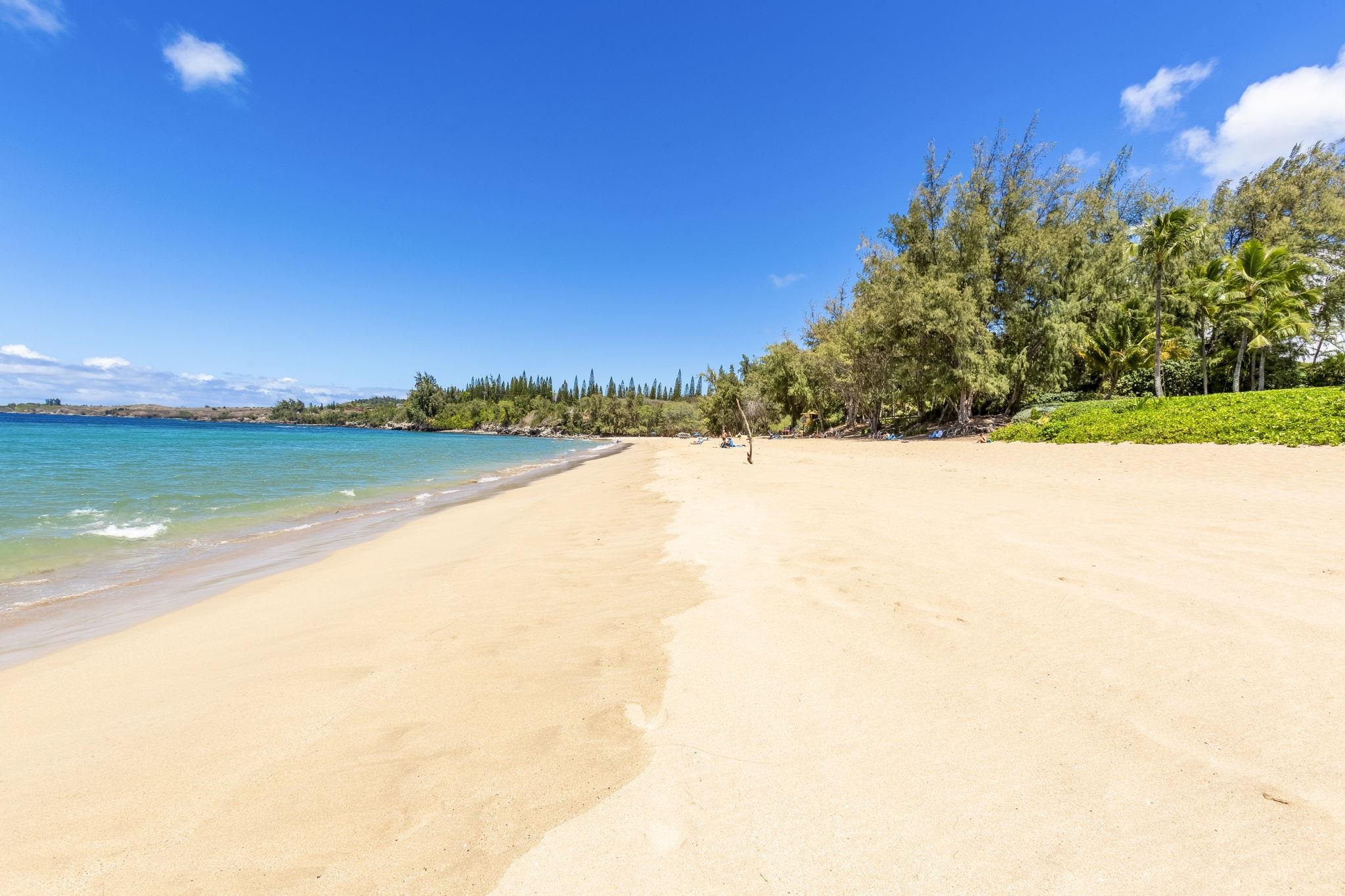 The Ritz Carlton Residences condo # 1221-23, Lahaina, Hawaii - photo 50 of 50