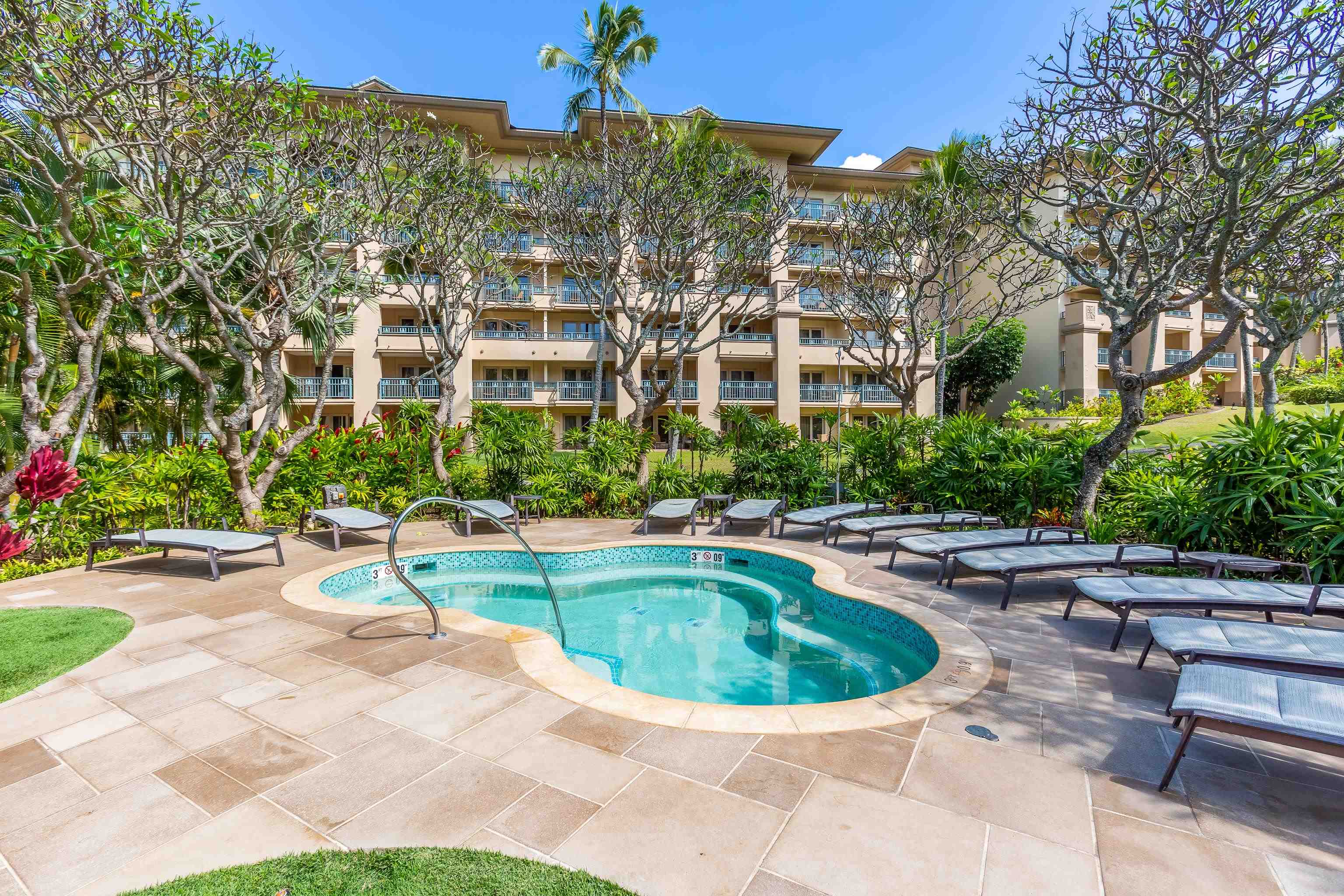 The Ritz Carlton Residences condo # 1426-28, Lahaina, Hawaii - photo 25 of 30