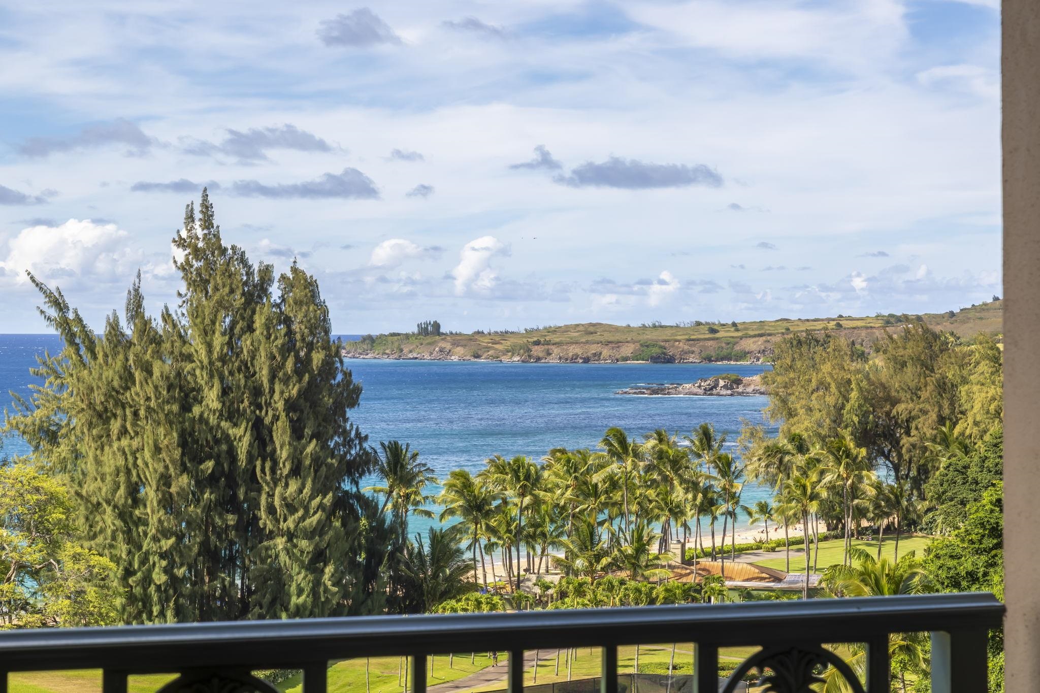 The Ritz Carlton Residences condo # 1426-28, Lahaina, Hawaii - photo 9 of 30