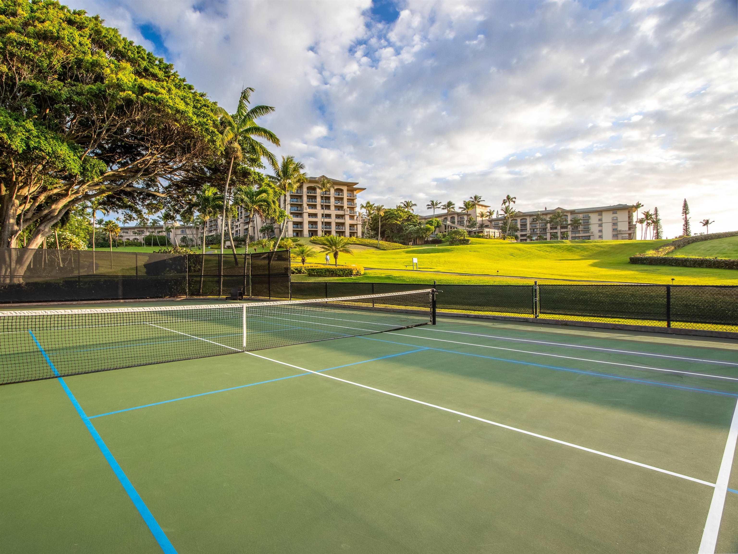 The Ritz Carlton Residences condo # 1601, Lahaina, Hawaii - photo 24 of 24