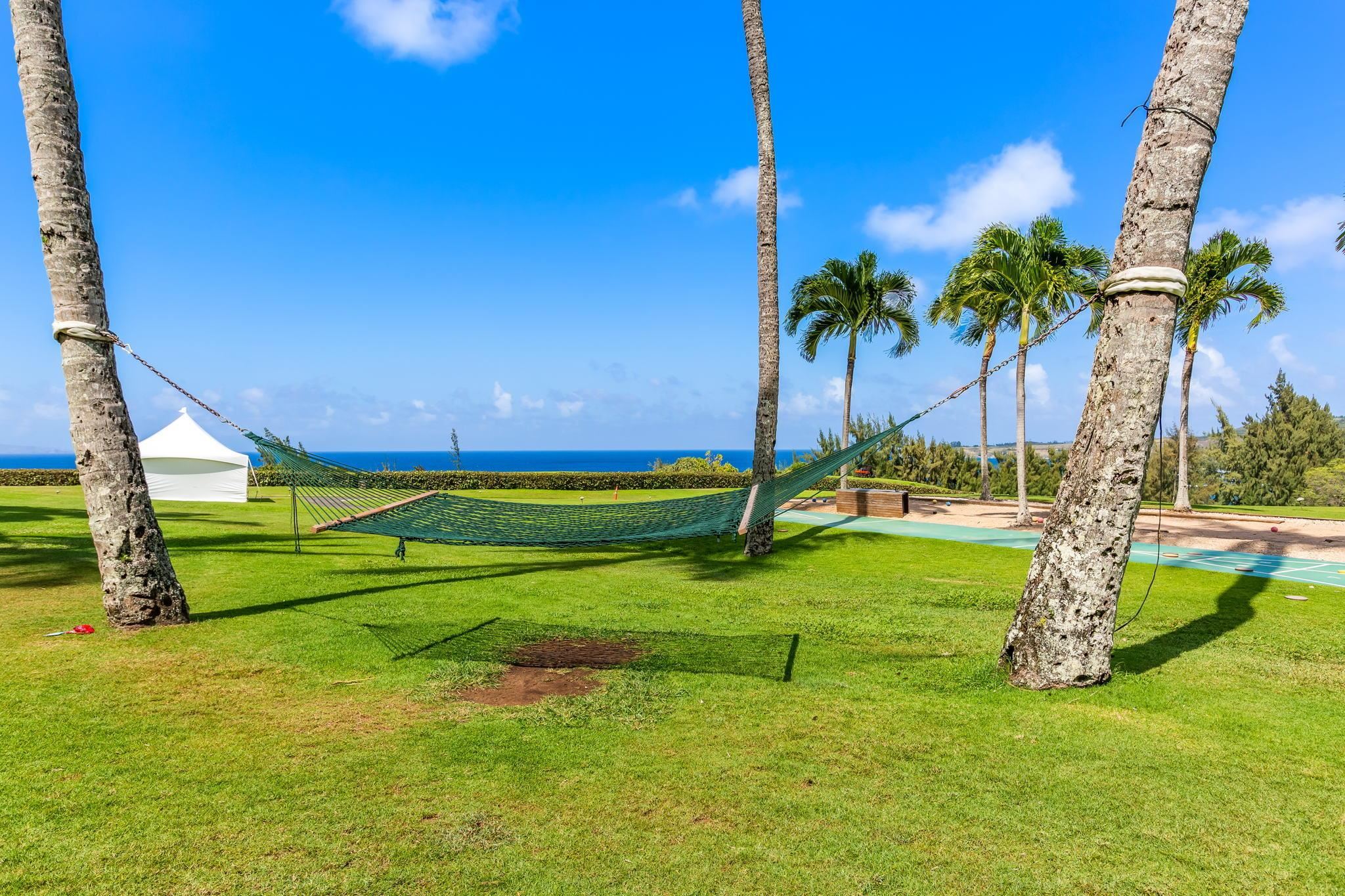 The Ritz Carlton Residences condo # 1614-1616, Lahaina, Hawaii - photo 28 of 40