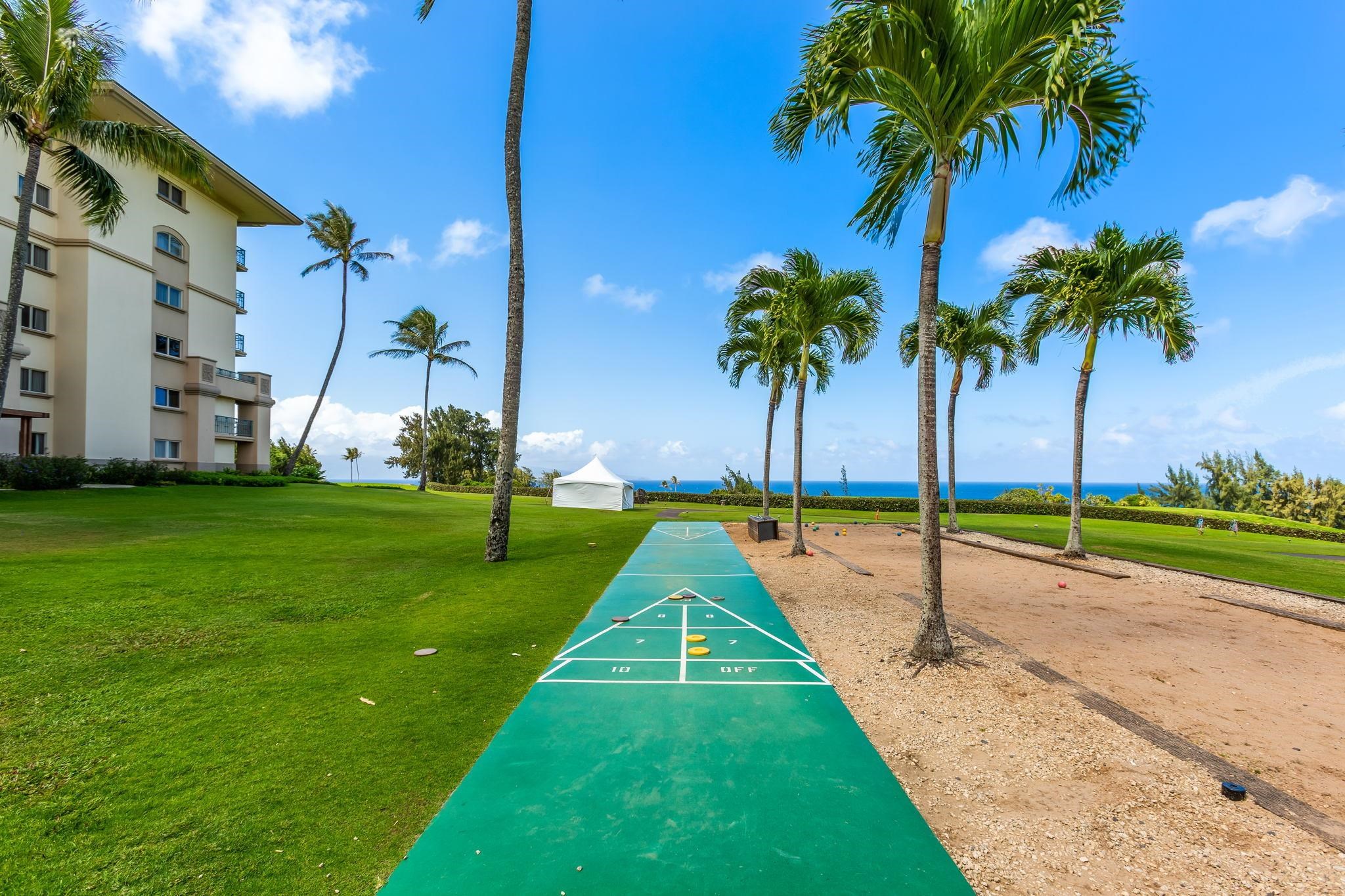The Ritz Carlton Residences condo # 1614-1616, Lahaina, Hawaii - photo 31 of 40