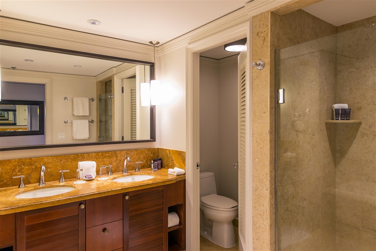 The Ritz Carlton Residences condo # 1618-20, Lahaina, Hawaii - photo 13 of 30