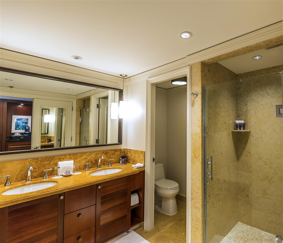 The Ritz Carlton Residences condo # 1618-20, Lahaina, Hawaii - photo 20 of 30