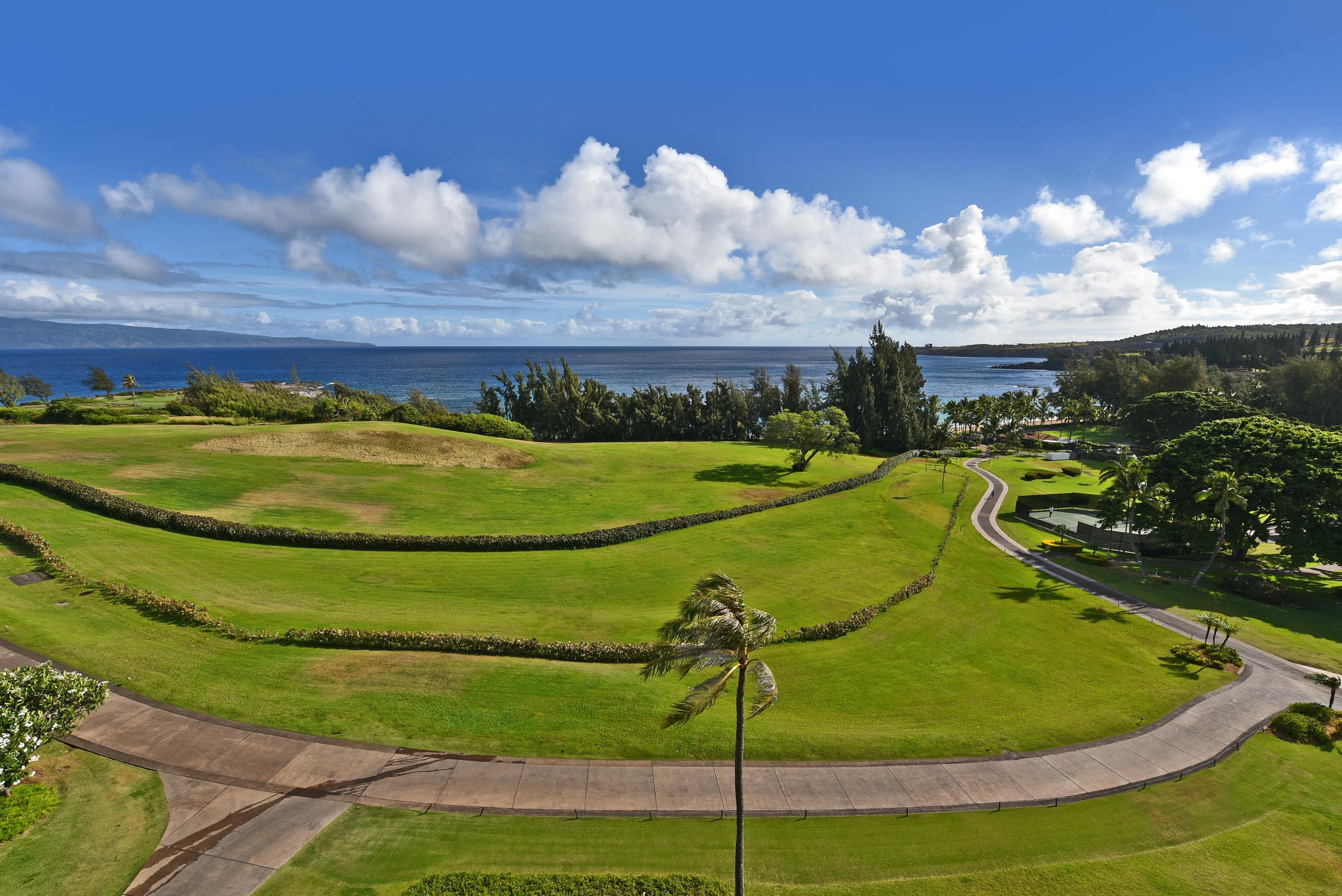 The Ritz Carlton Residences condo # 1626, Lahaina, Hawaii - photo 24 of 44