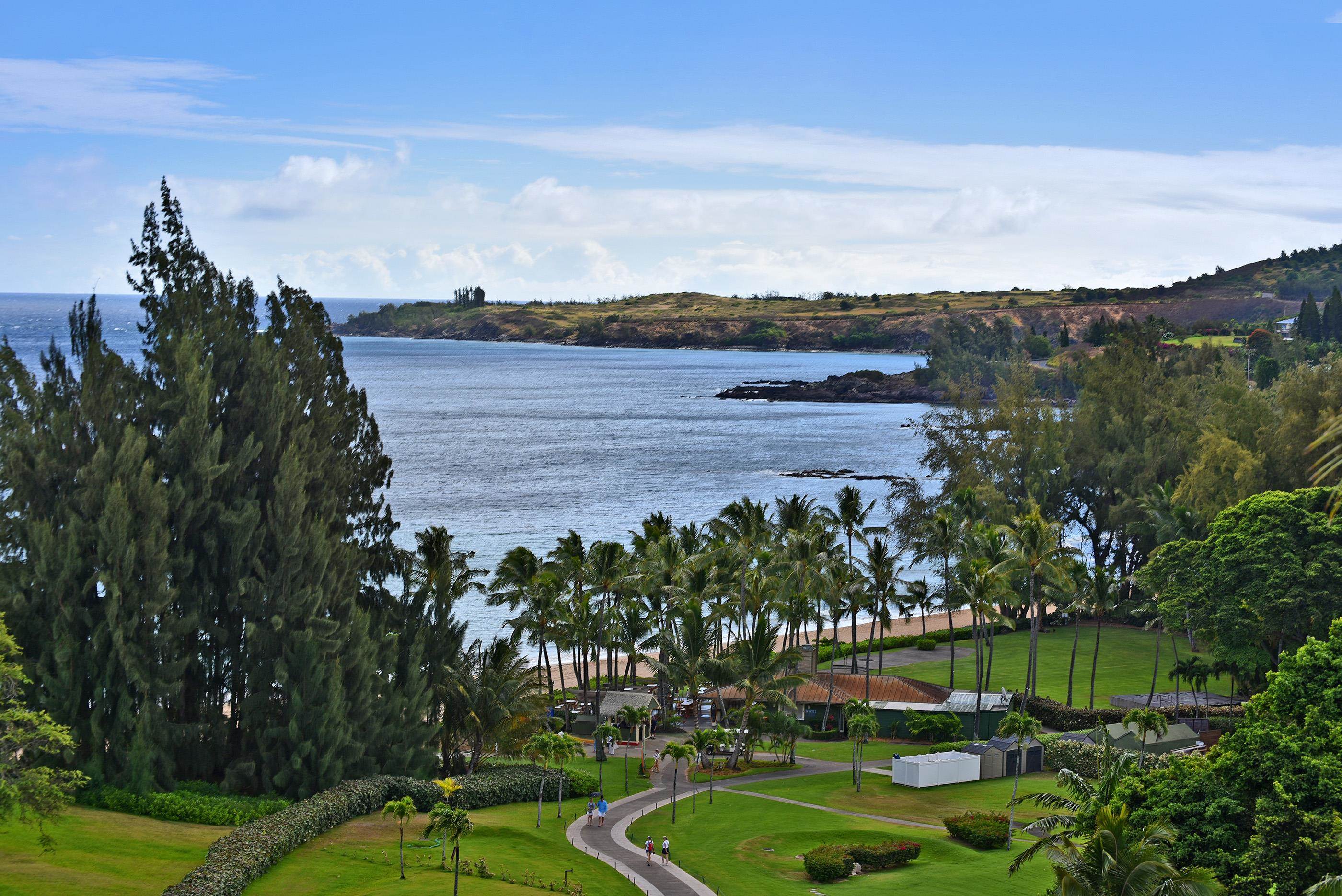 The Ritz Carlton Residences condo # 1626, Lahaina, Hawaii - photo 27 of 44