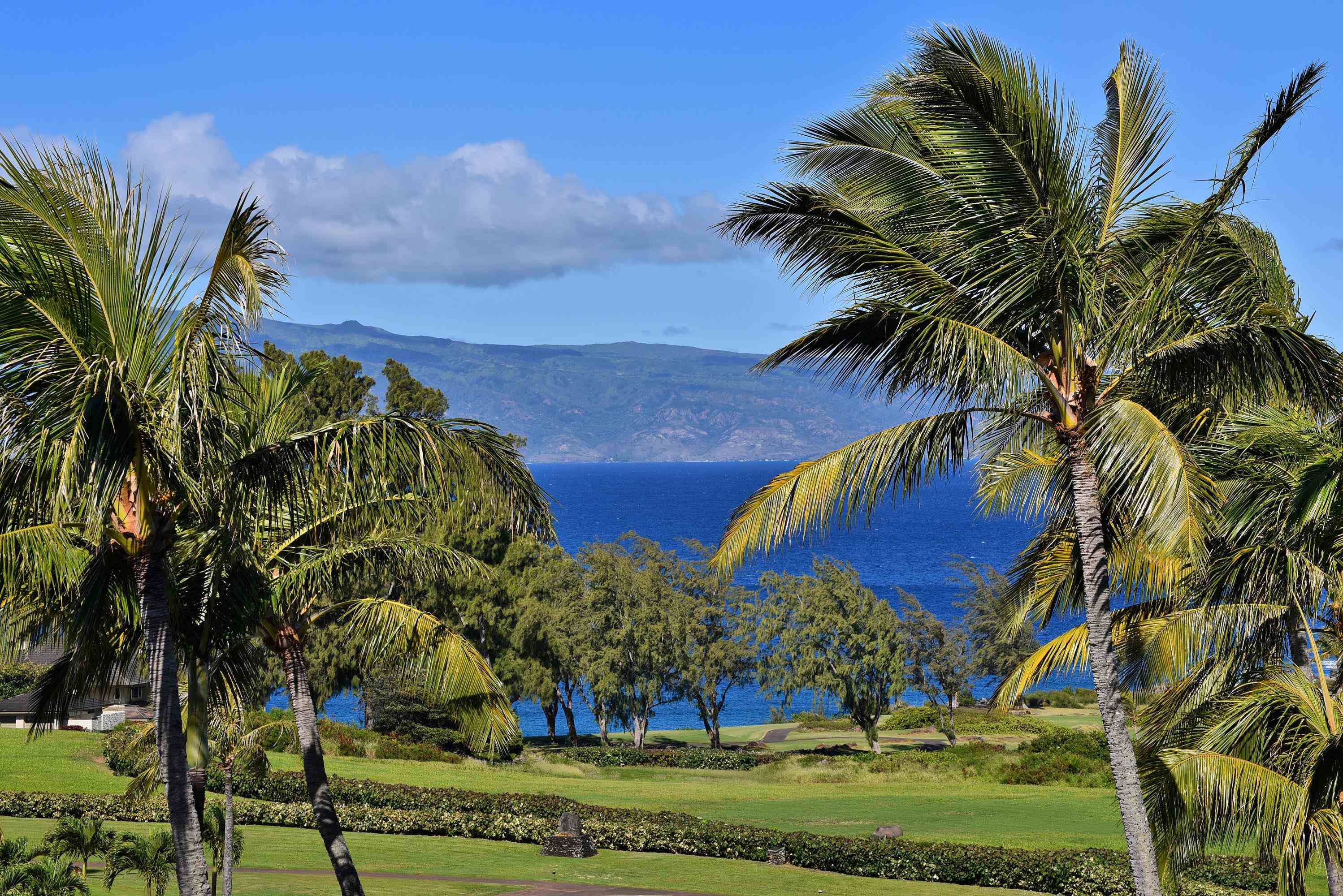 The Ritz Carlton Residences condo # 1712, Lahaina, Hawaii - photo 36 of 42